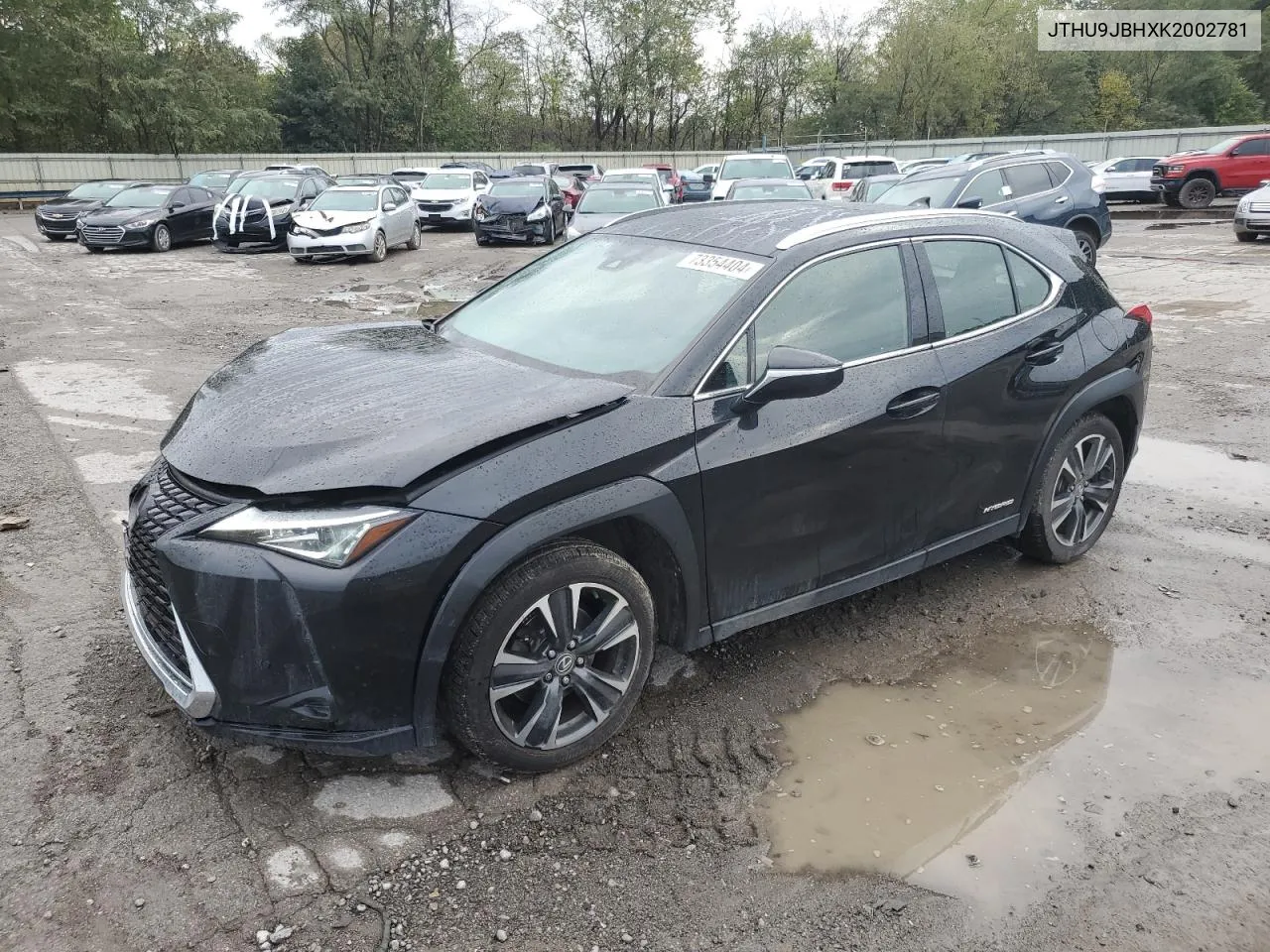 2019 Lexus Ux 250H VIN: JTHU9JBHXK2002781 Lot: 73354404