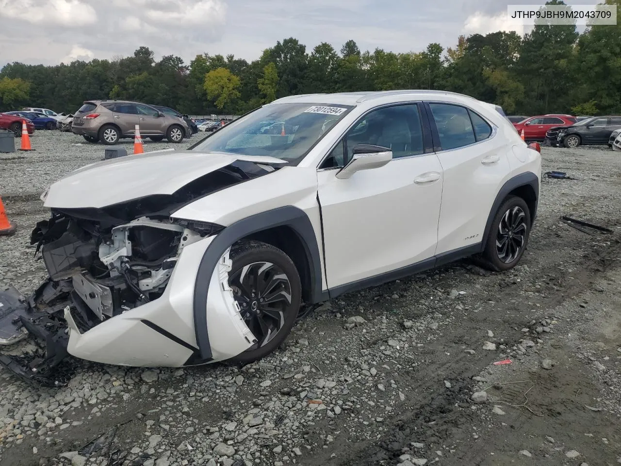 JTHP9JBH9M2043709 2021 Lexus Ux 250H