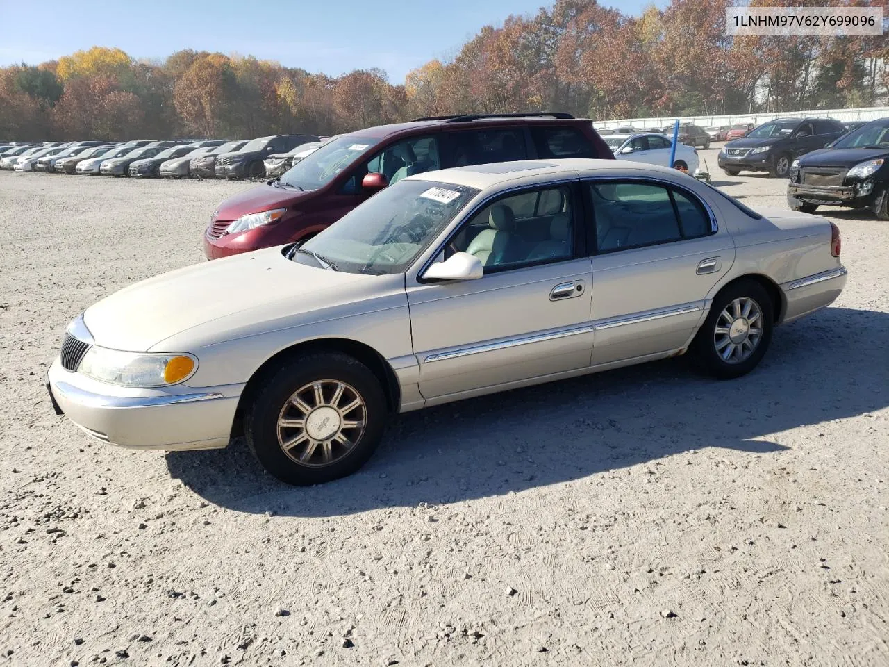 2002 Lincoln Continental VIN: 1LNHM97V62Y699096 Lot: 77789474