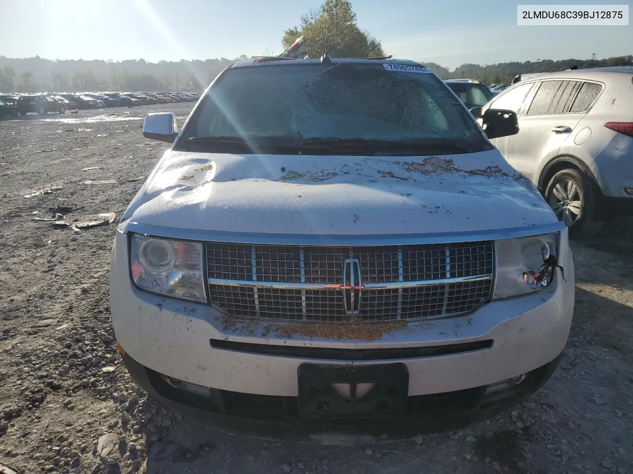 2009 Lincoln Mkx VIN: 2LMDU68C39BJ12875 Lot: 74905744