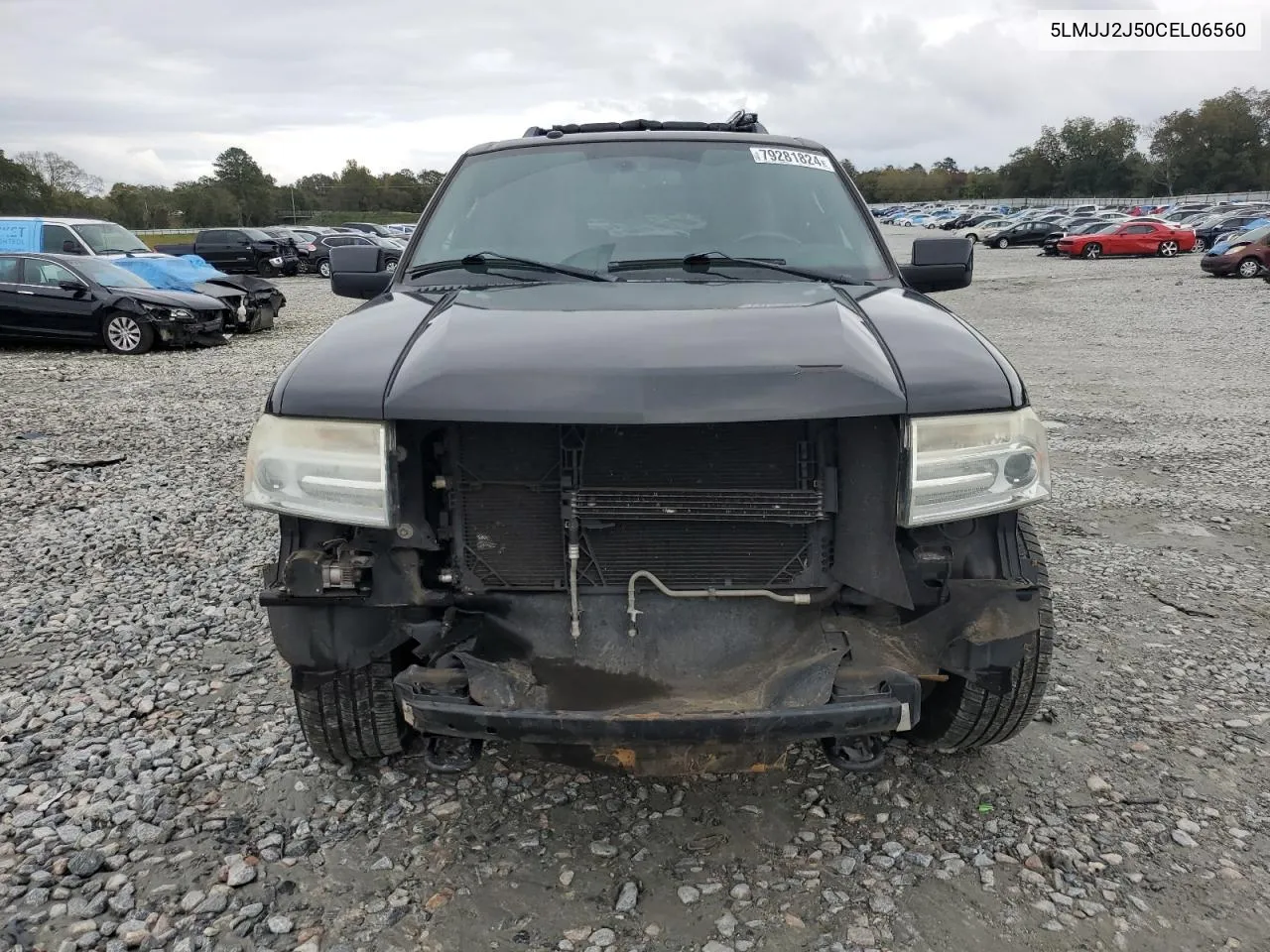 2012 Lincoln Navigator VIN: 5LMJJ2J50CEL06560 Lot: 79281824