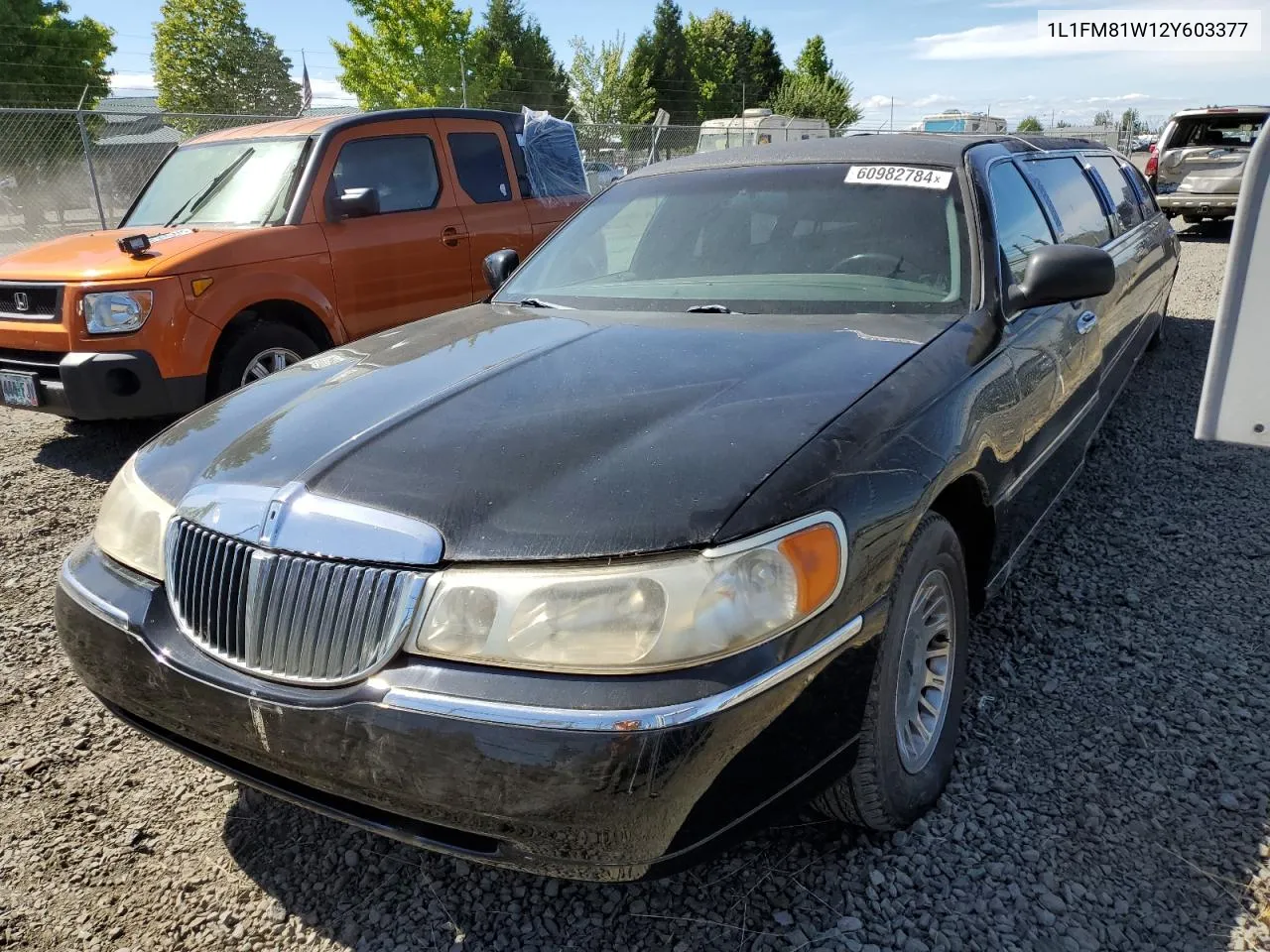 2002 Lincoln Town Car Executive VIN: 1L1FM81W12Y603377 Lot: 60982784