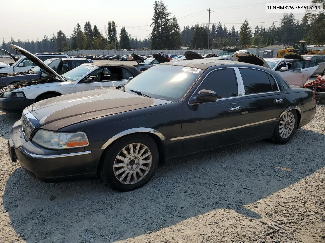 2005 Lincoln Town Car Signature Limited VIN: 1LNHM82W75Y615219 Lot: 70356604