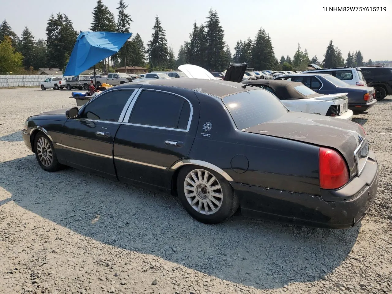 2005 Lincoln Town Car Signature Limited VIN: 1LNHM82W75Y615219 Lot: 70356604