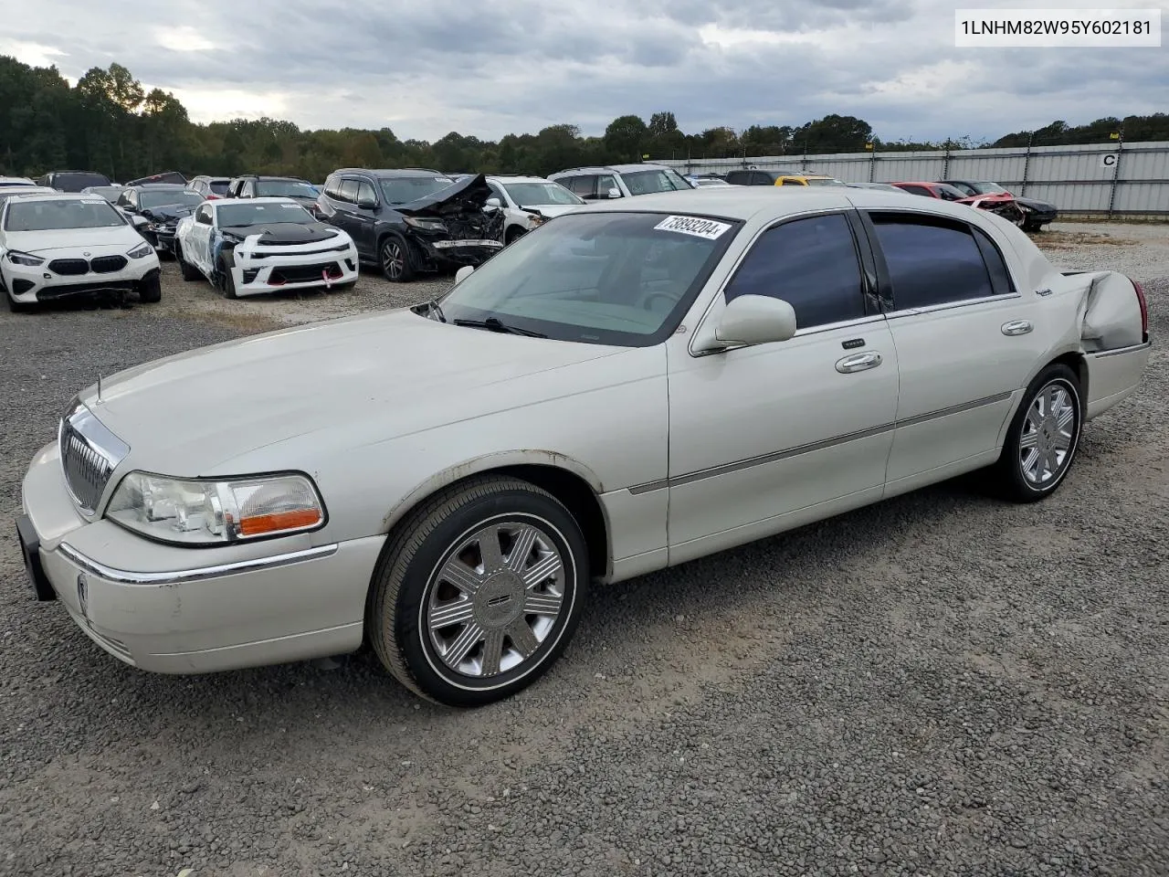 2005 Lincoln Town Car Signature Limited VIN: 1LNHM82W95Y602181 Lot: 73893204