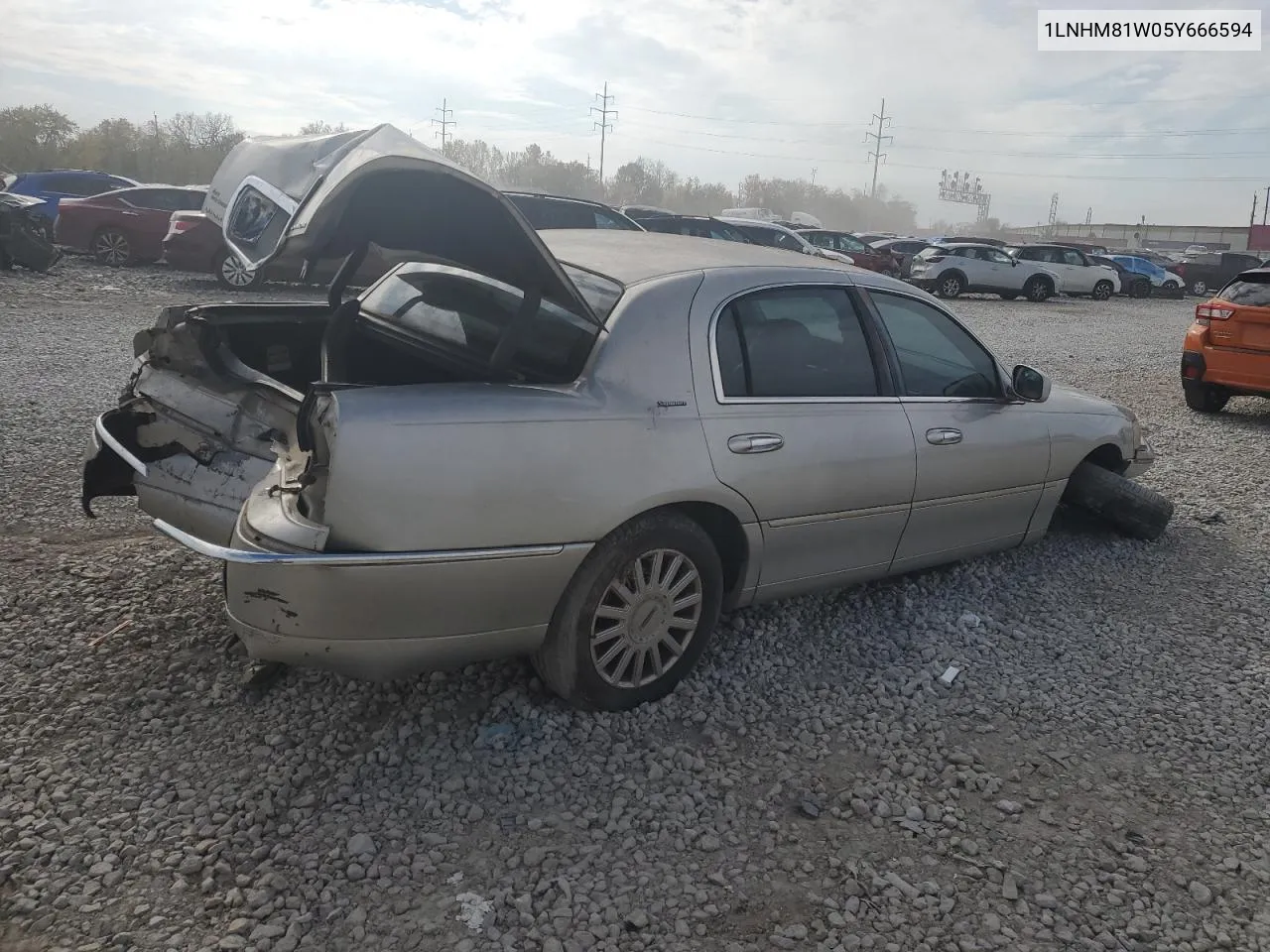 2005 Lincoln Town Car Signature VIN: 1LNHM81W05Y666594 Lot: 77750634