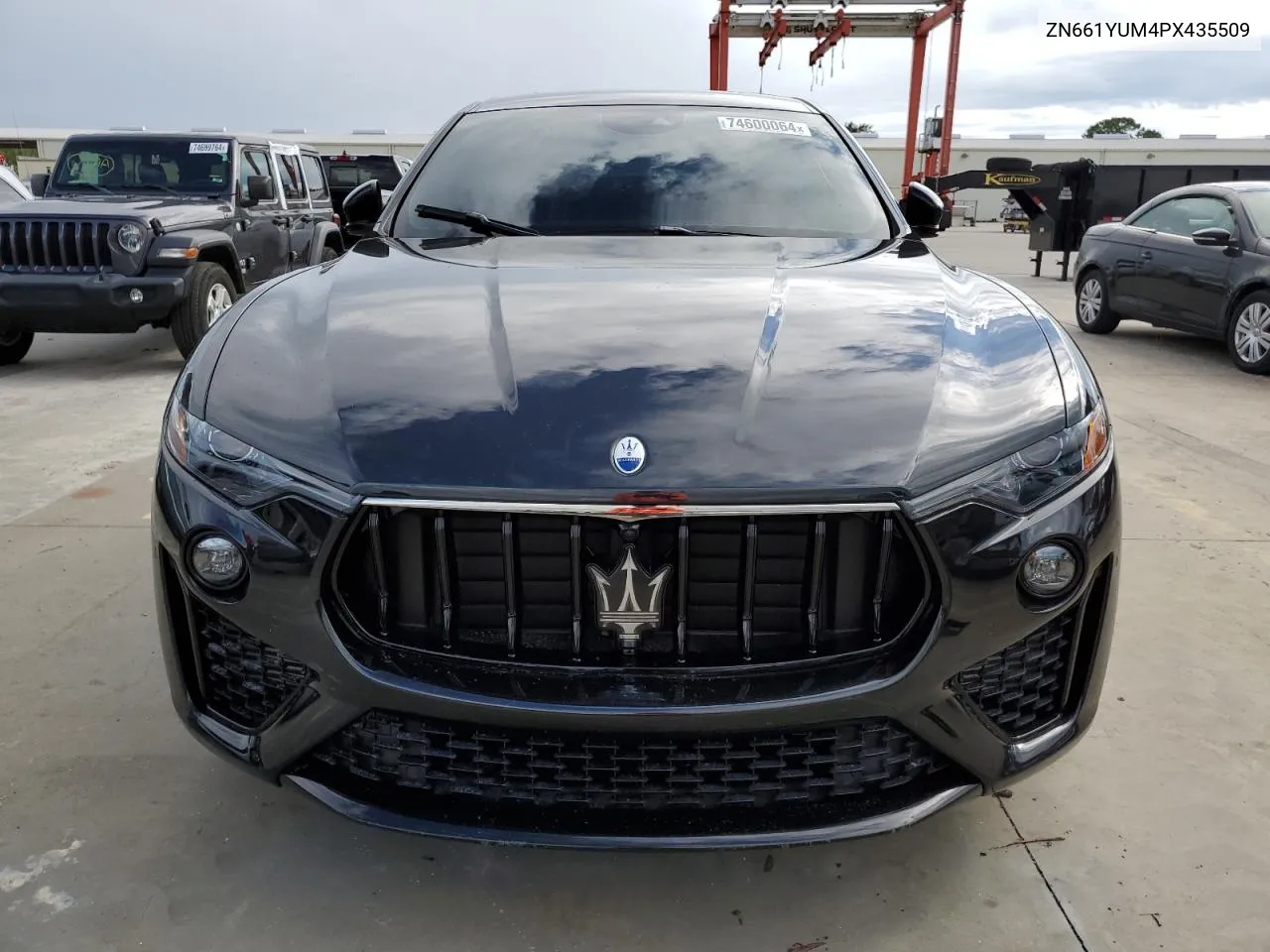 2023 Maserati Levante Modena VIN: ZN661YUM4PX435509 Lot: 74600064