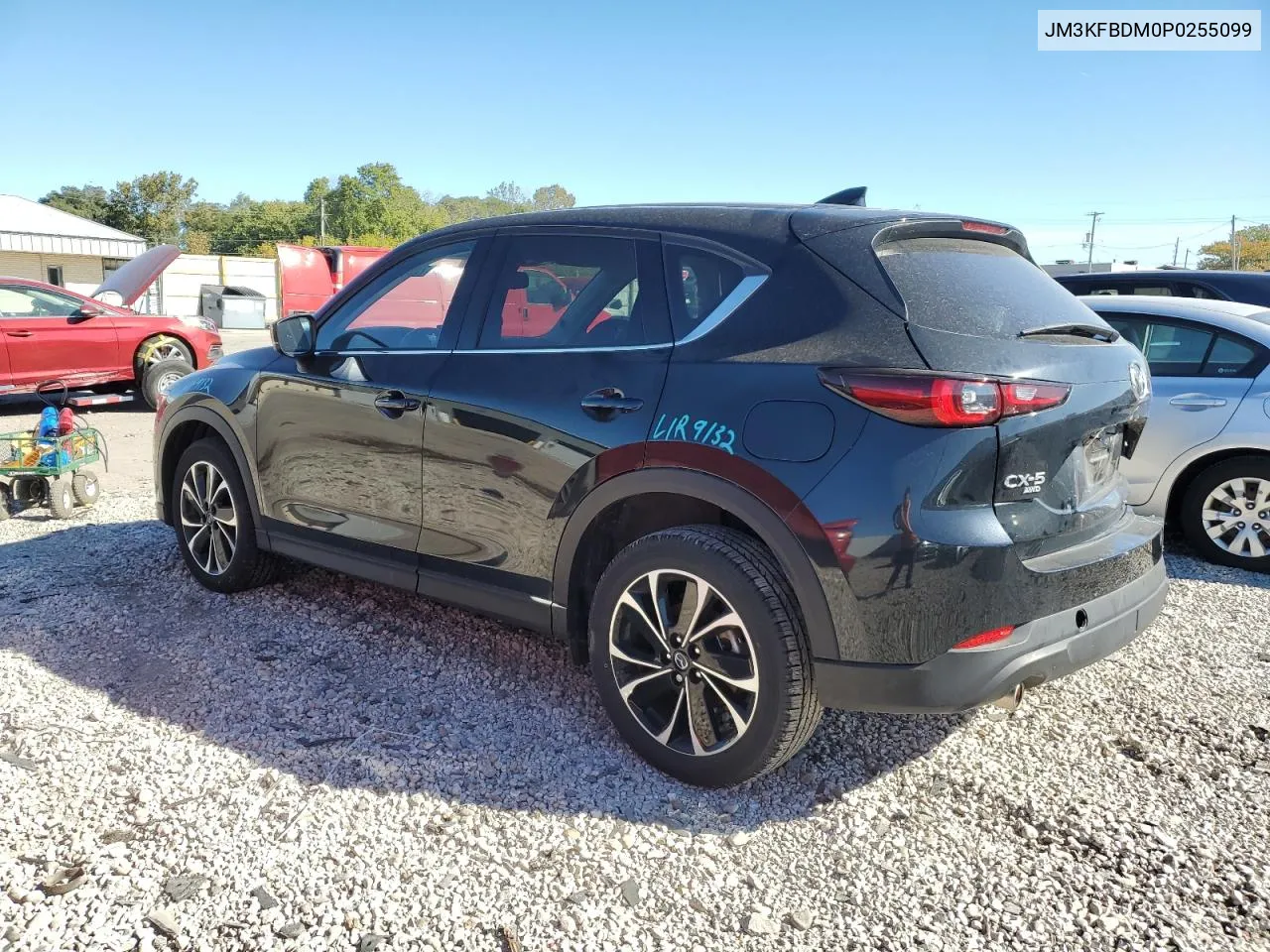 2023 Mazda Cx-5 Premium VIN: JM3KFBDM0P0255099 Lot: 75212374