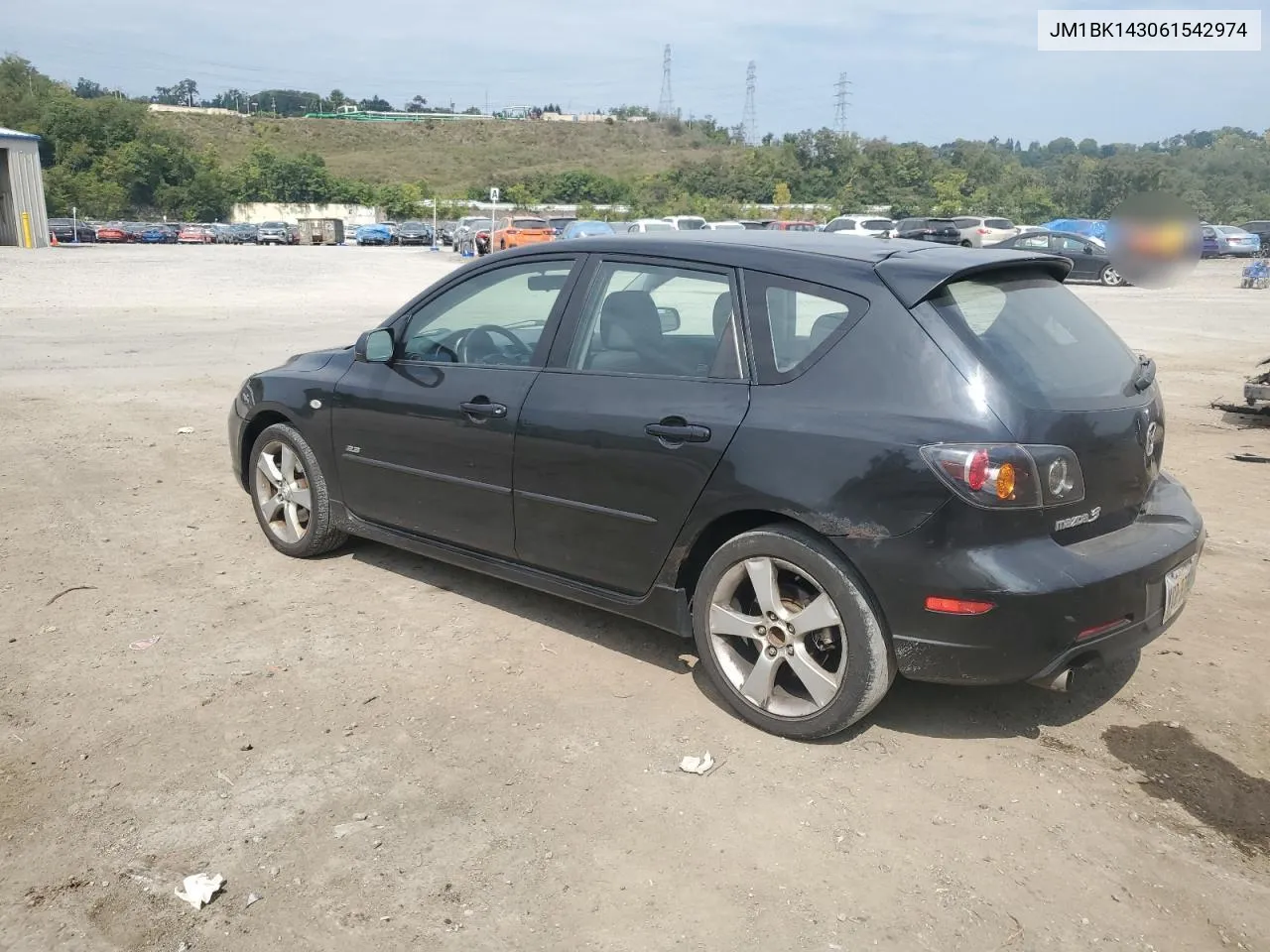 2006 Mazda 3 Hatchback VIN: JM1BK143061542974 Lot: 69179754