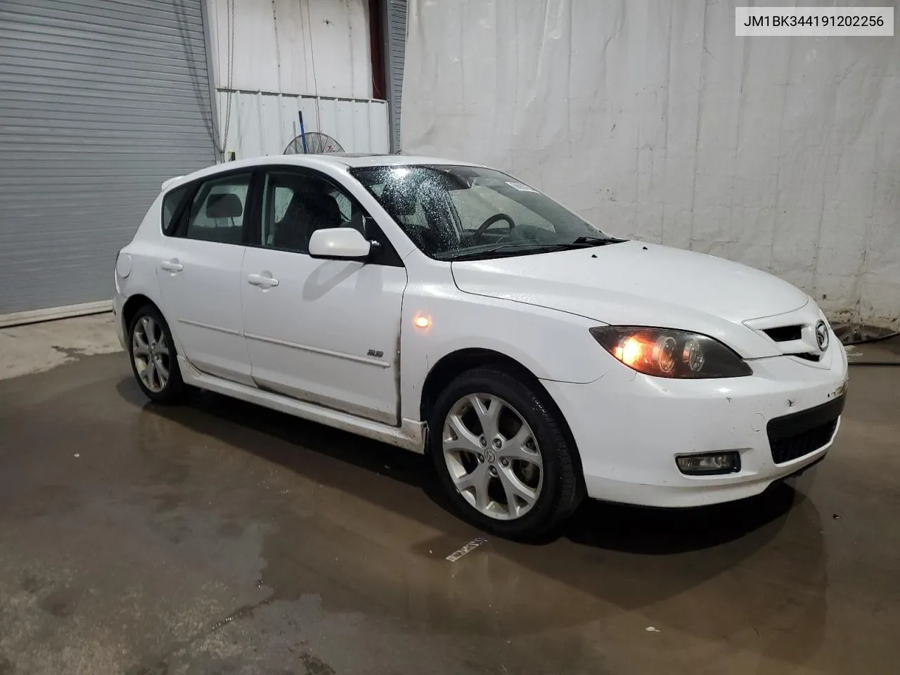 2009 Mazda 3 S VIN: JM1BK344191202256 Lot: 66997664