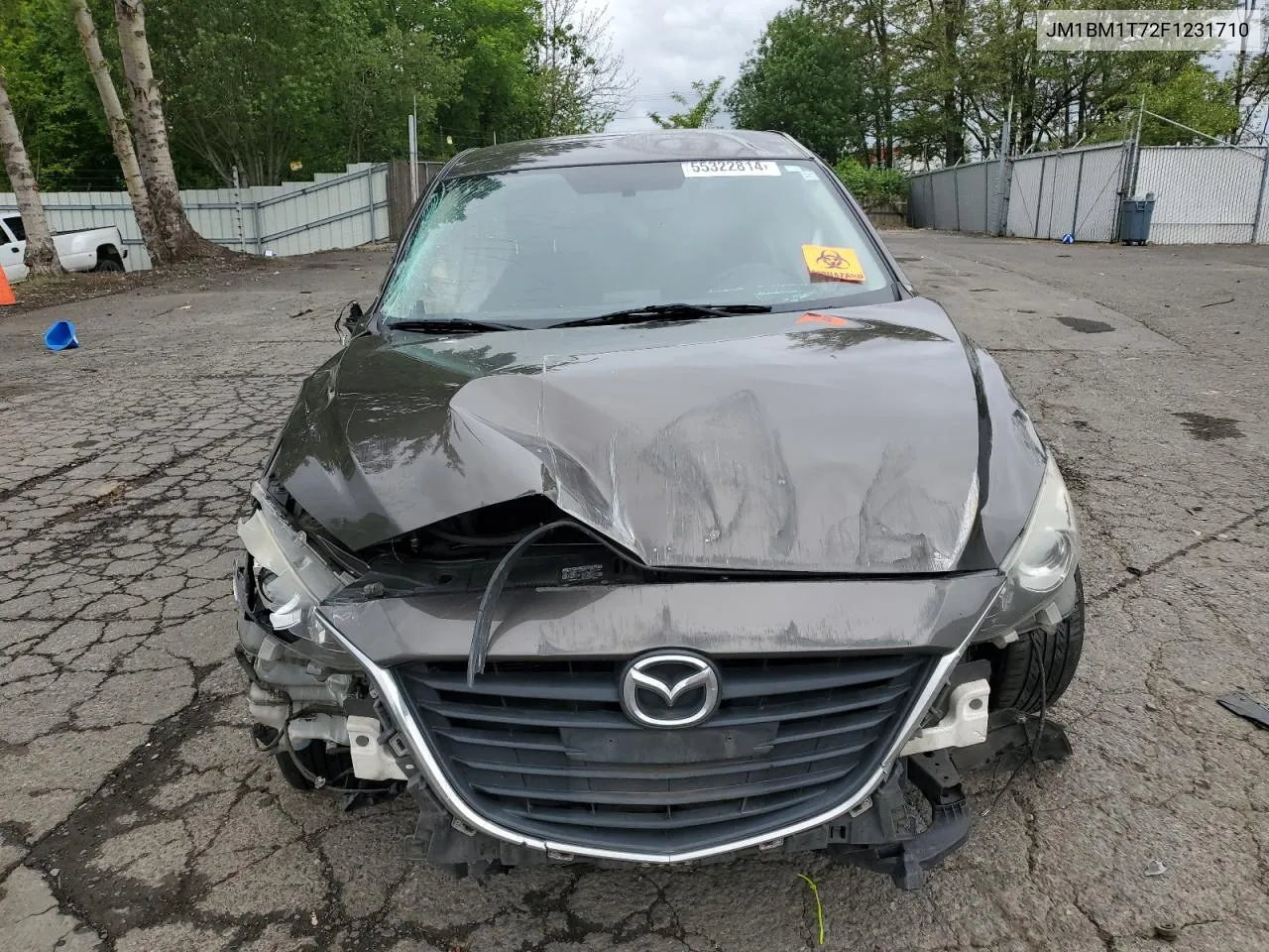 JM1BM1T72F1231710 2015 Mazda 3 Sv