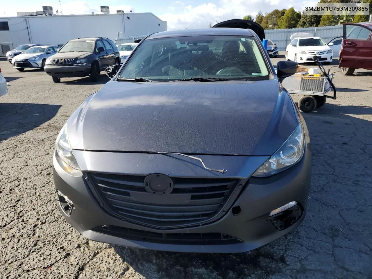 2016 Mazda 3 Sport VIN: 3MZBM1U75GM309865 Lot: 78159224