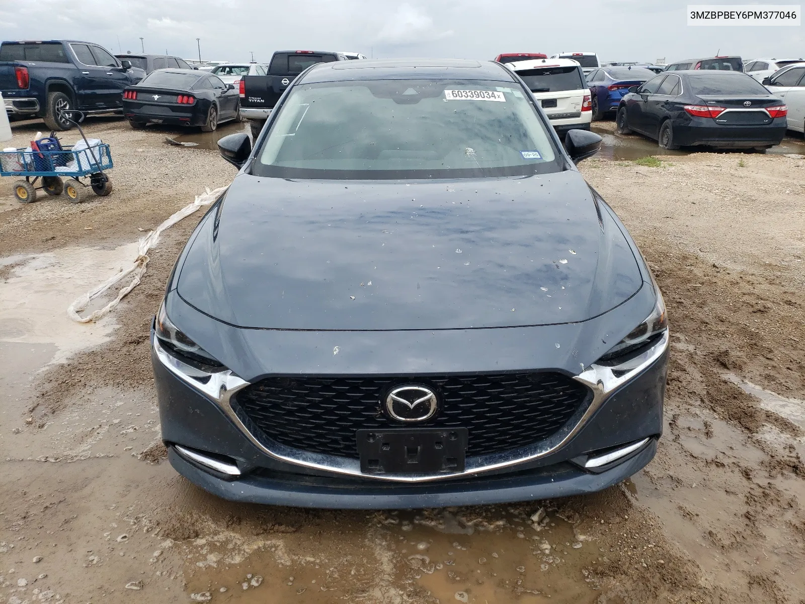 2023 Mazda 3 Premium Plus VIN: 3MZBPBEY6PM377046 Lot: 60339034