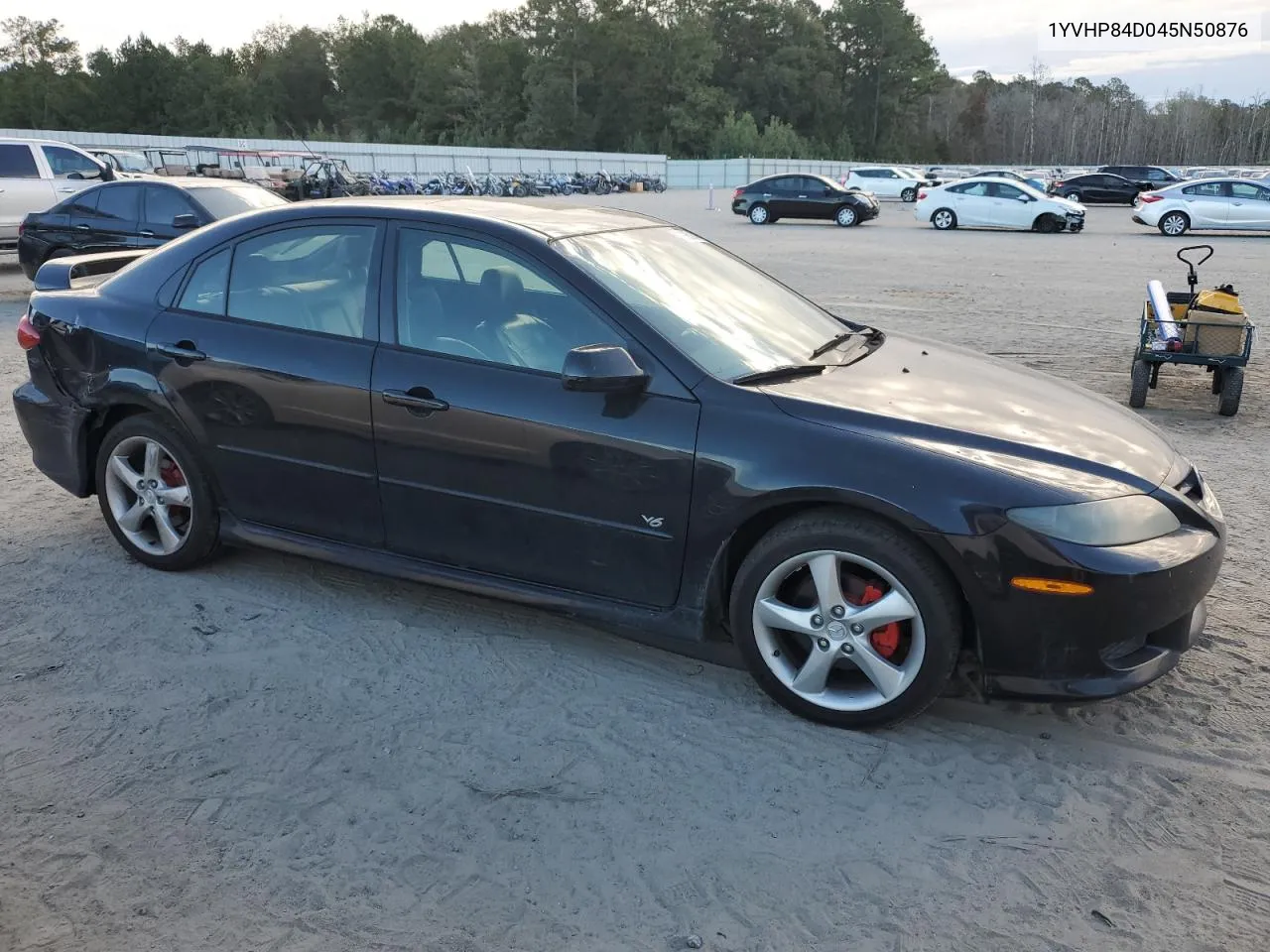 2004 Mazda 6 S VIN: 1YVHP84D045N50876 Lot: 73665164