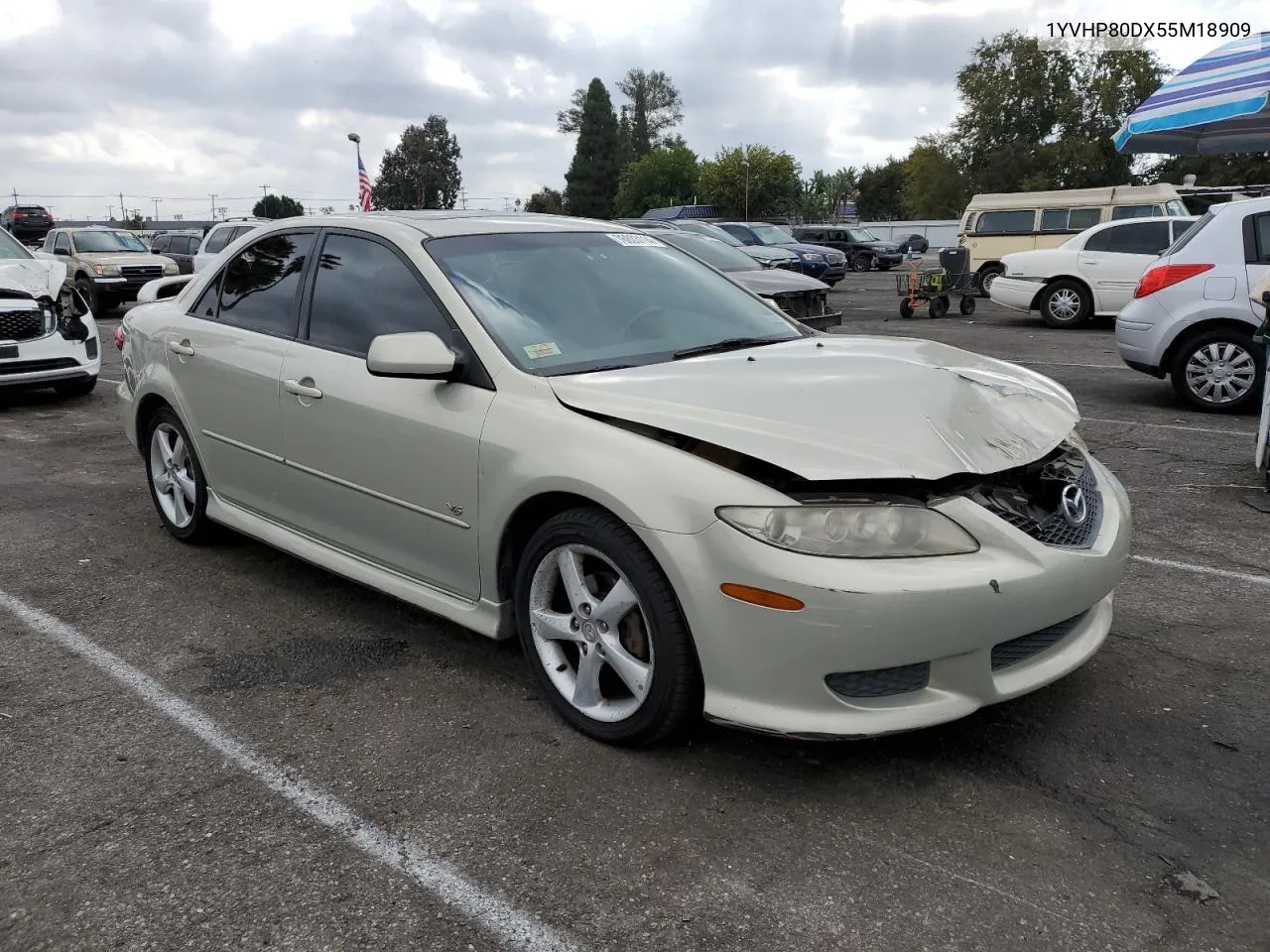 2005 Mazda 6 S VIN: 1YVHP80DX55M18909 Lot: 76803114