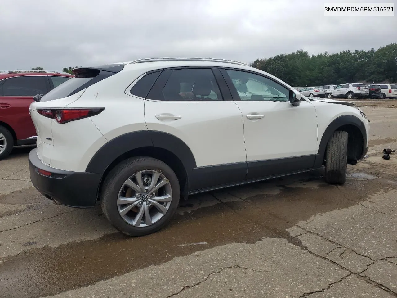 2023 Mazda Cx-30 Premium VIN: 3MVDMBDM6PM516321 Lot: 68820864