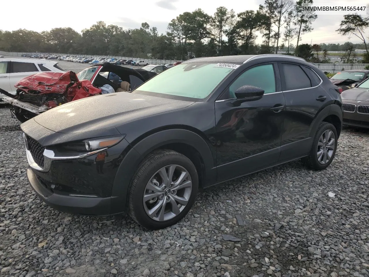 2023 Mazda Cx-30 VIN: 3MVDMBBM5PM565447 Lot: 74350424