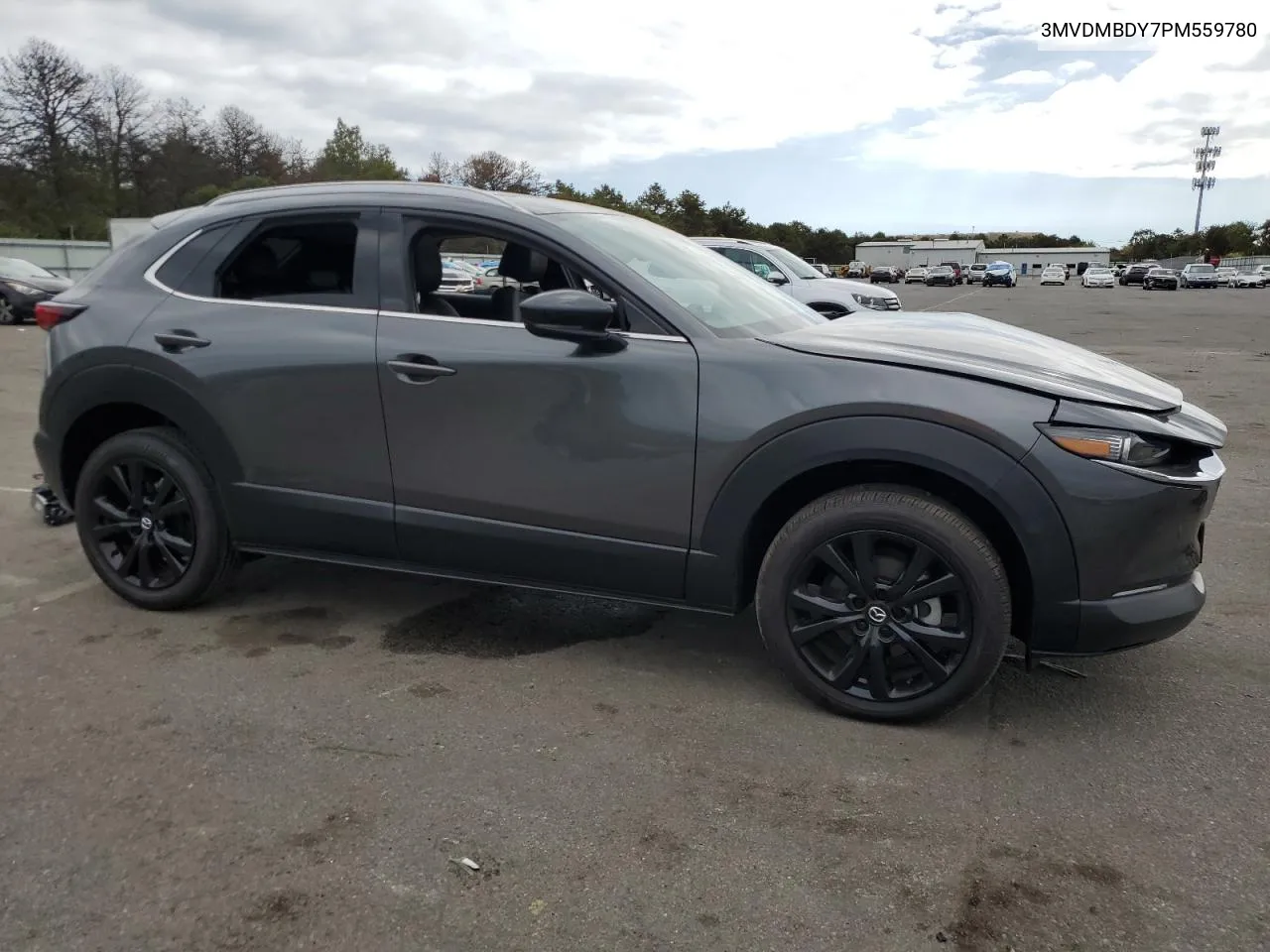 2023 Mazda Cx-30 Premium VIN: 3MVDMBDY7PM559780 Lot: 74517264