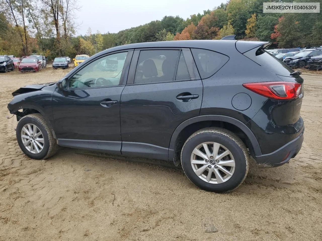 2014 Mazda Cx-5 Touring VIN: JM3KE2CY1E0406309 Lot: 75338614