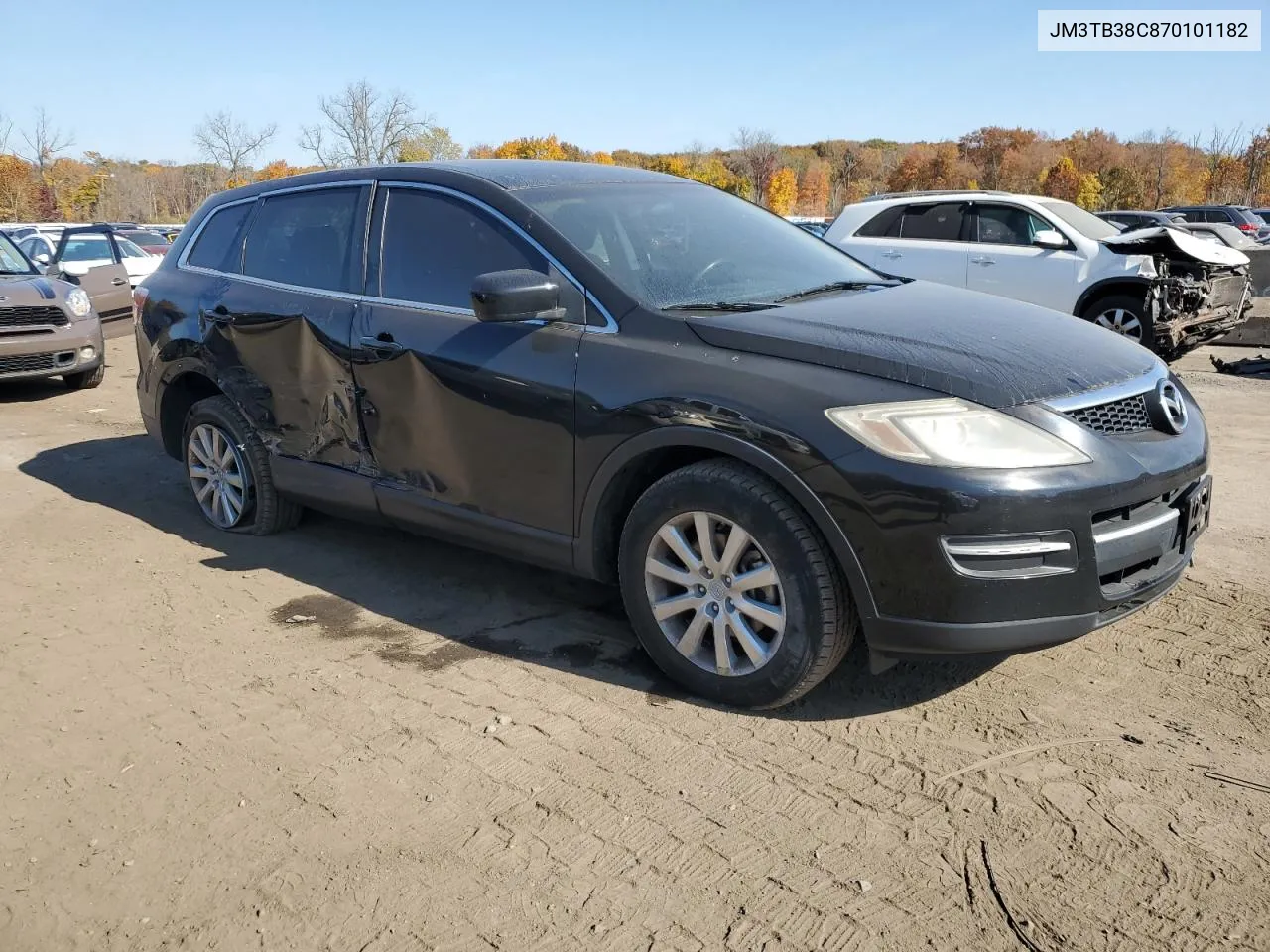 2007 Mazda Cx-9 VIN: JM3TB38C870101182 Lot: 76533334