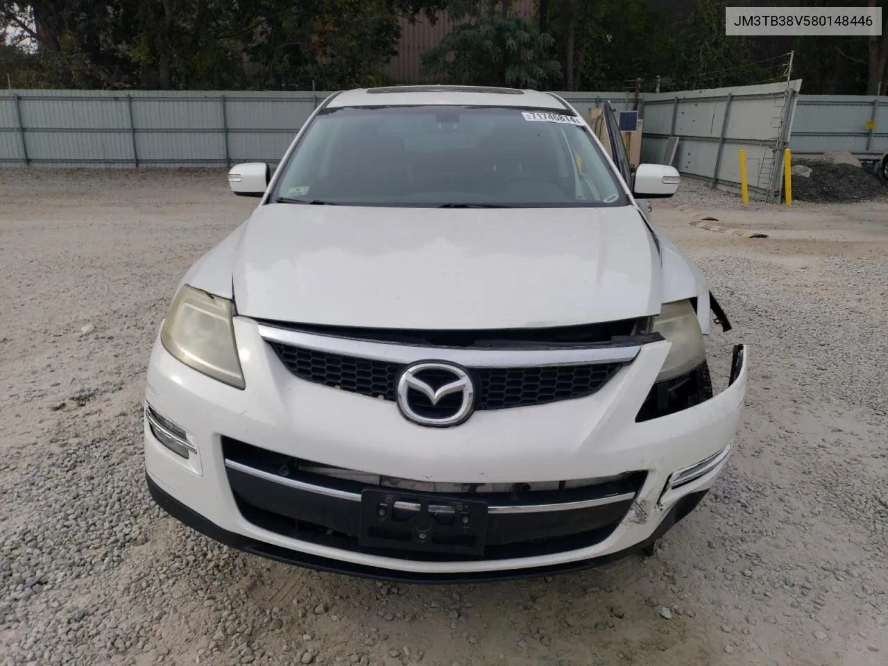 2008 Mazda Cx-9 VIN: JM3TB38V580148446 Lot: 71746814