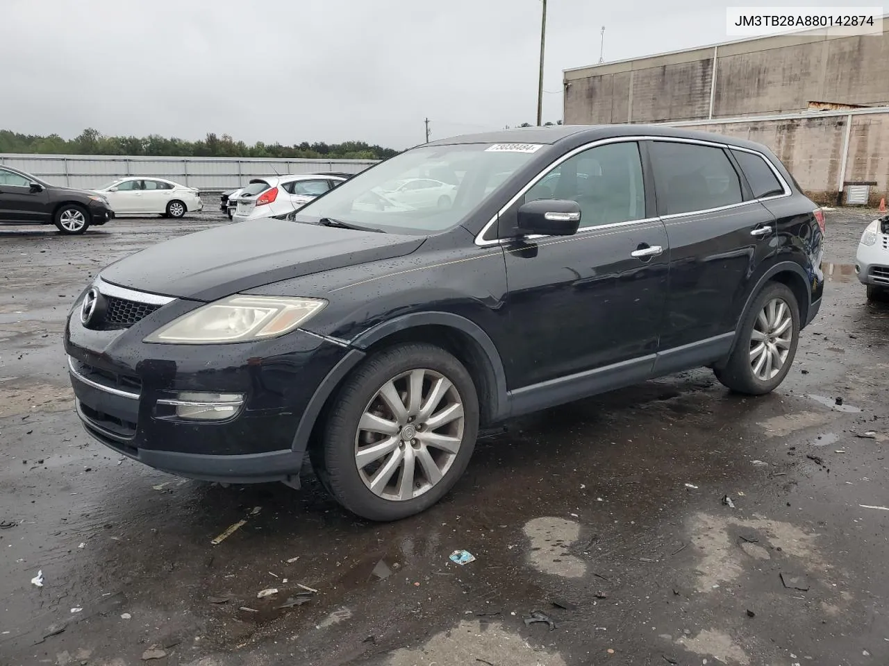 2008 Mazda Cx-9 VIN: JM3TB28A880142874 Lot: 73038484