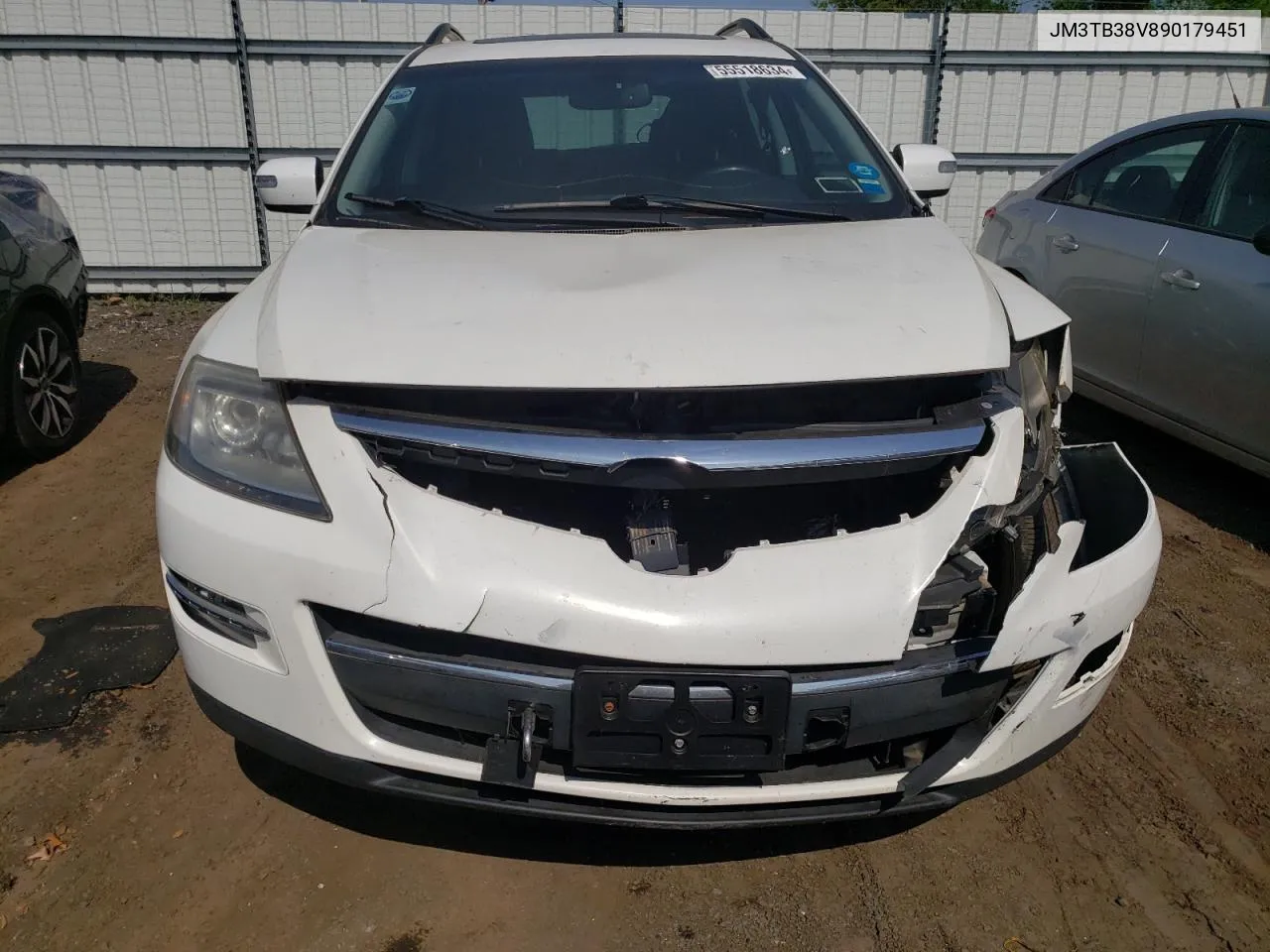 JM3TB38V890179451 2009 Mazda Cx-9