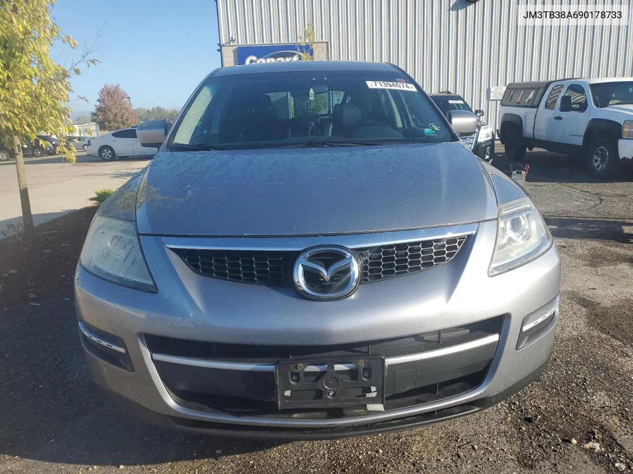 2009 Mazda Cx-9 VIN: JM3TB38A690178733 Lot: 71394074