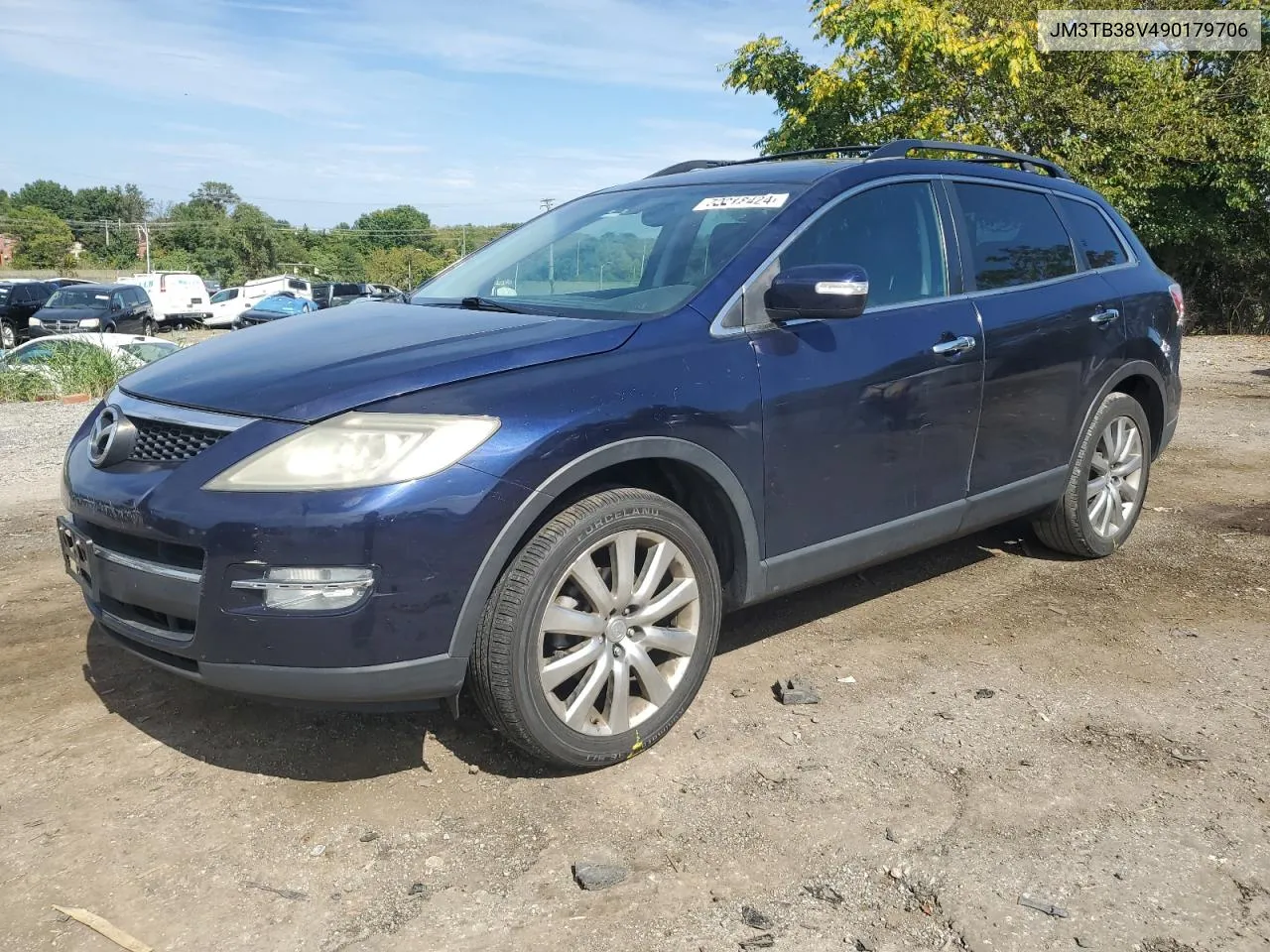 2009 Mazda Cx-9 VIN: JM3TB38V490179706 Lot: 72212424