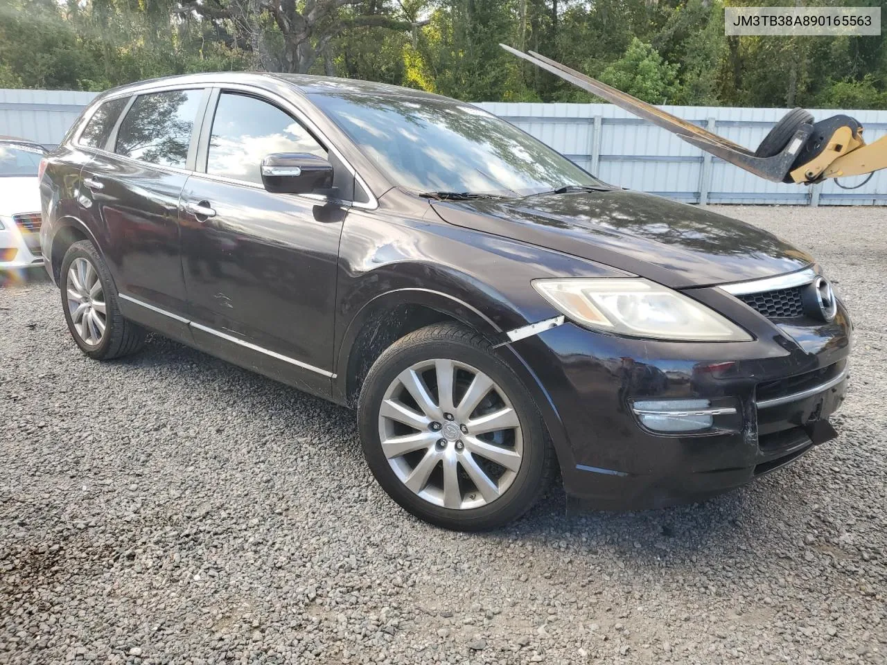 2009 Mazda Cx-9 VIN: JM3TB38A890165563 Lot: 73575714