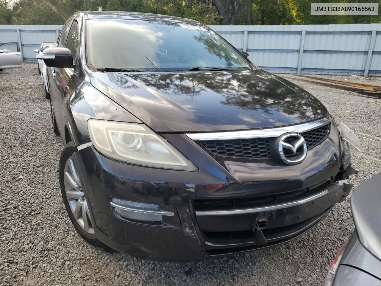 2009 Mazda Cx-9 VIN: JM3TB38A890165563 Lot: 73575714