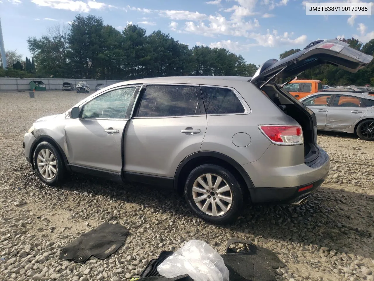 2009 Mazda Cx-9 VIN: JM3TB38V190179985 Lot: 75038444