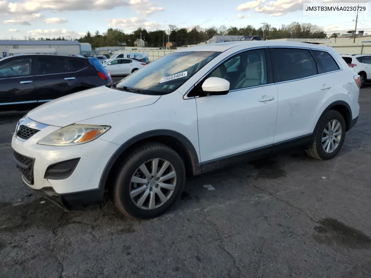 2010 Mazda Cx-9 VIN: JM3TB3MV6A0230729 Lot: 75553404