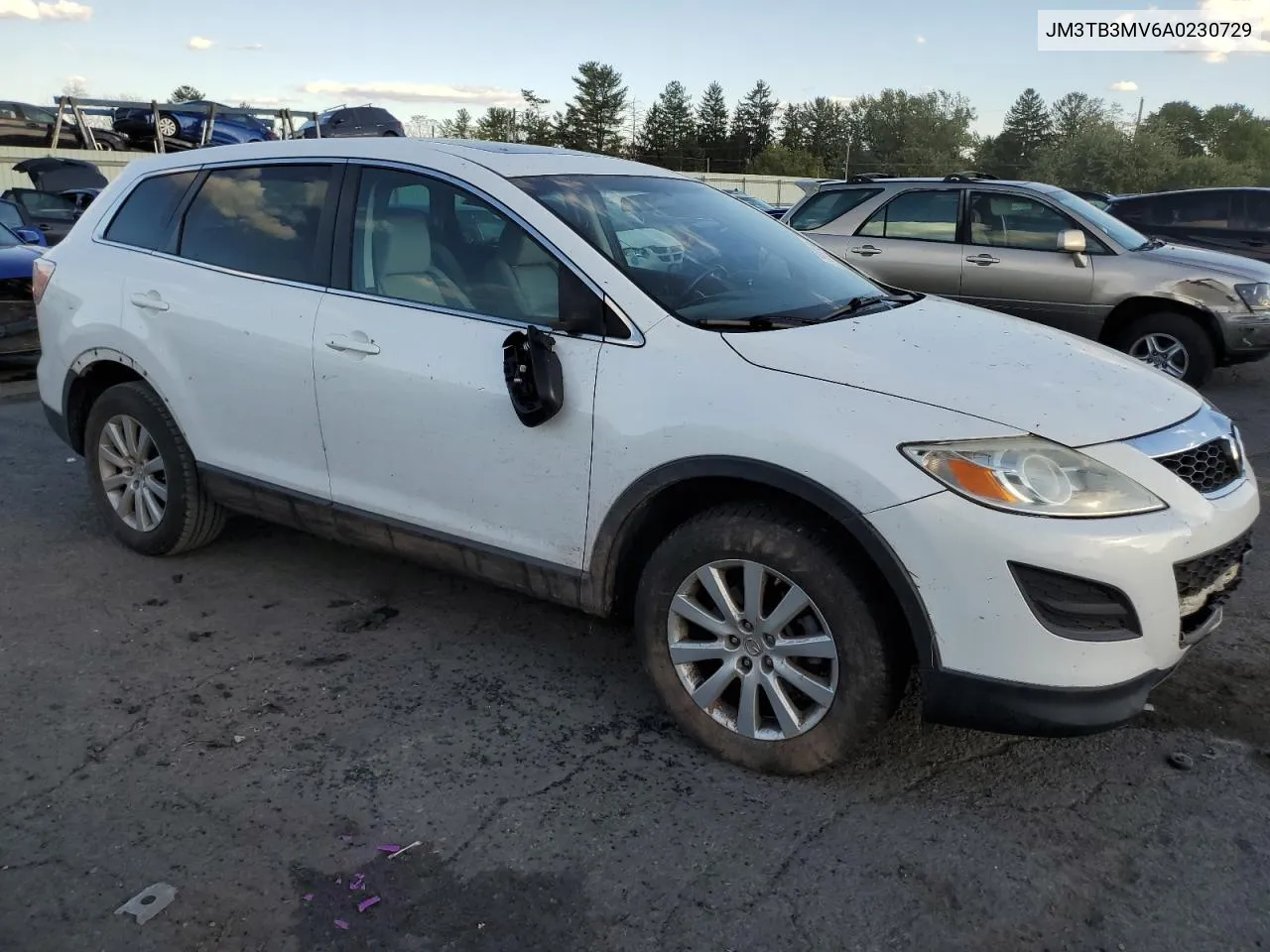 2010 Mazda Cx-9 VIN: JM3TB3MV6A0230729 Lot: 75553404