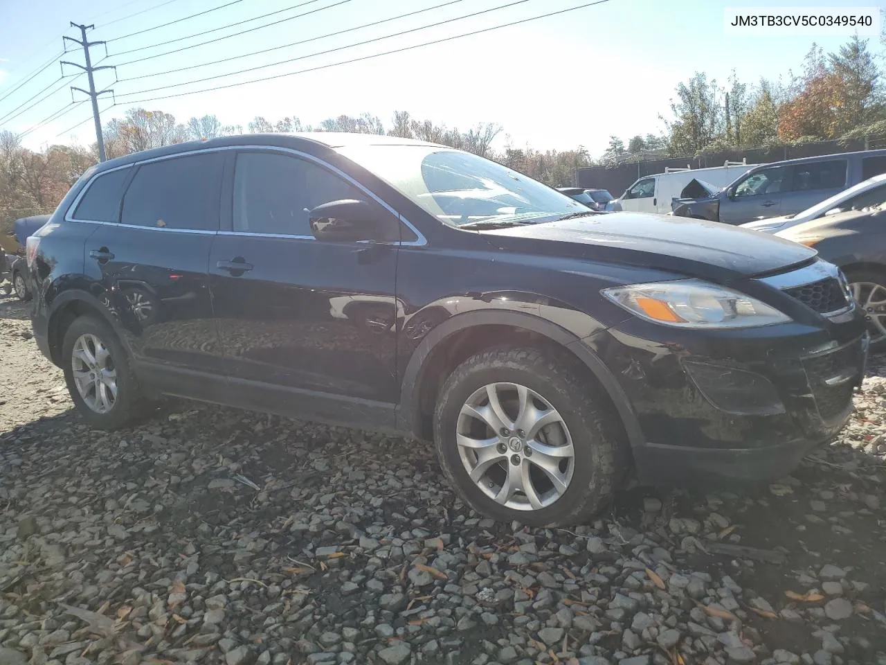 2012 Mazda Cx-9 VIN: JM3TB3CV5C0349540 Lot: 80274464