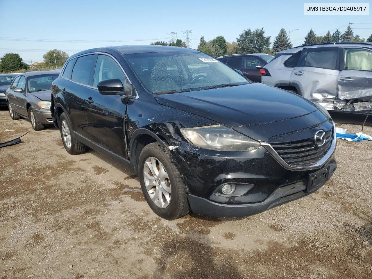 2013 Mazda Cx-9 Touring VIN: JM3TB3CA7D0406917 Lot: 73775564