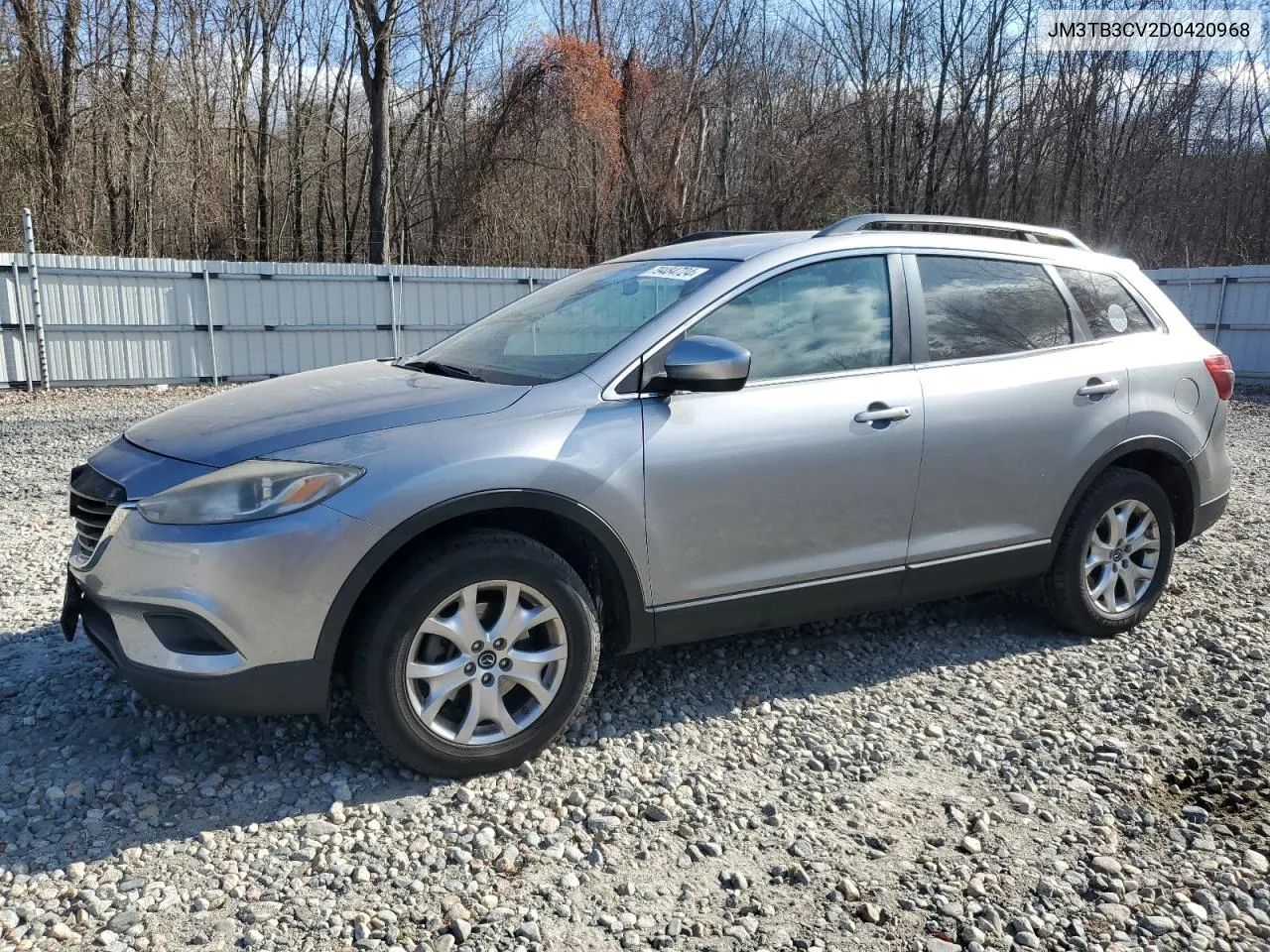 2013 Mazda Cx-9 Touring VIN: JM3TB3CV2D0420968 Lot: 79484724