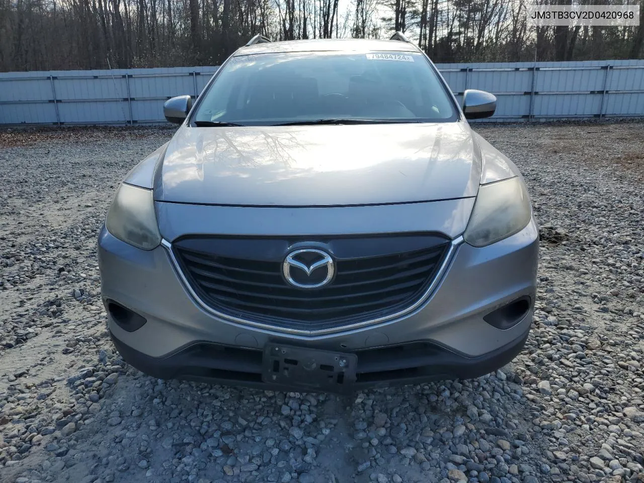 2013 Mazda Cx-9 Touring VIN: JM3TB3CV2D0420968 Lot: 79484724