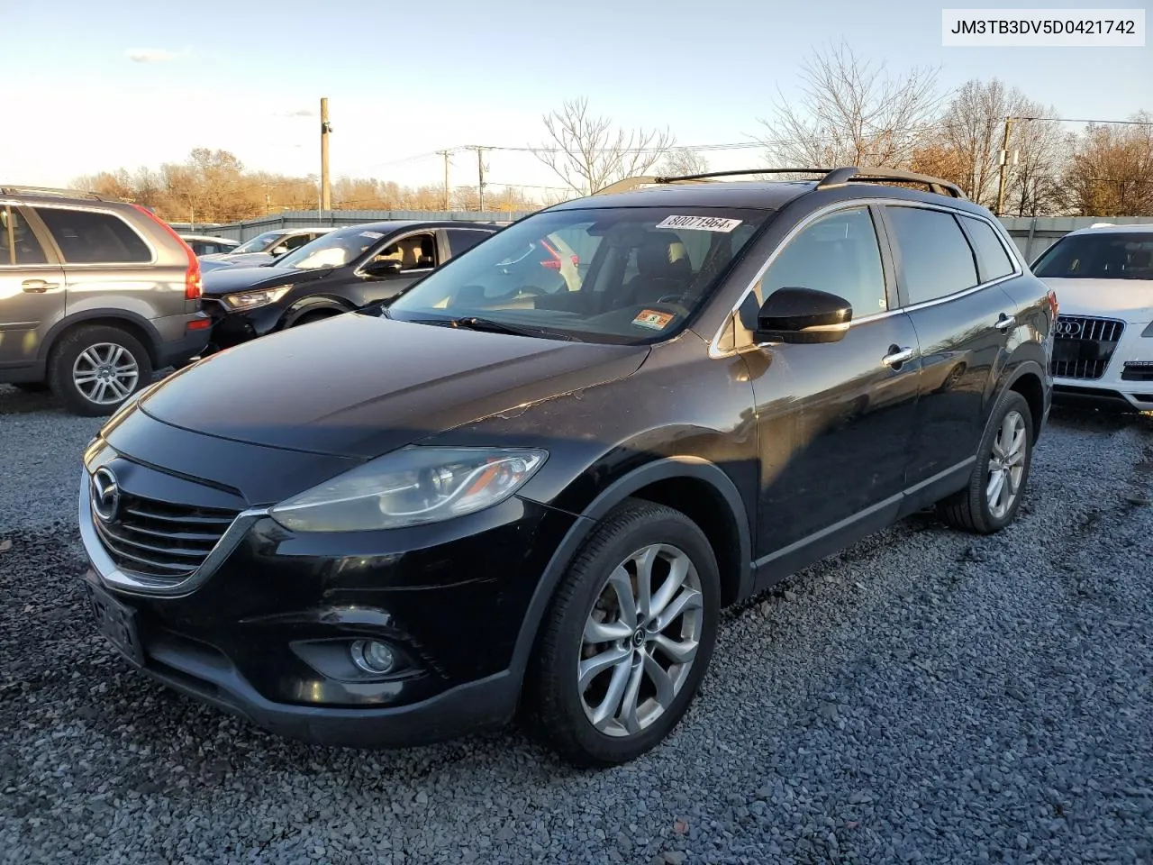 2013 Mazda Cx-9 Grand Touring VIN: JM3TB3DV5D0421742 Lot: 80071964