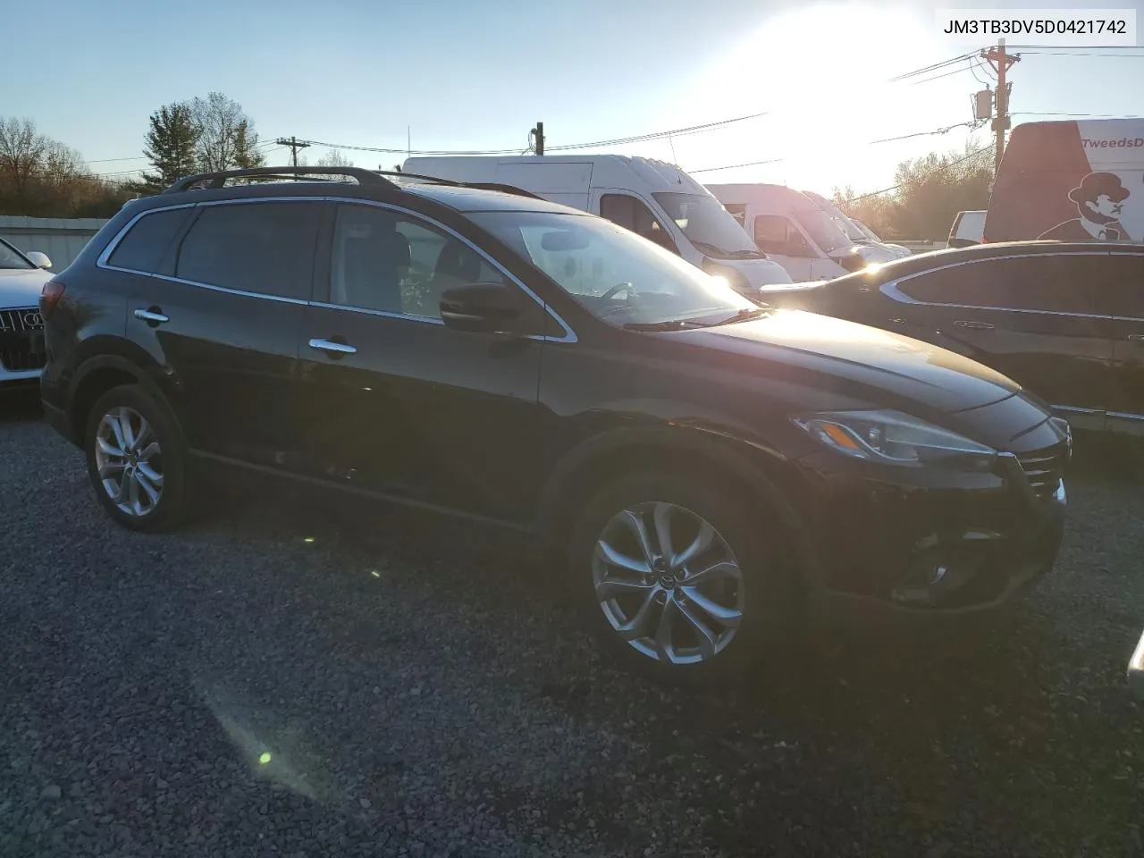 2013 Mazda Cx-9 Grand Touring VIN: JM3TB3DV5D0421742 Lot: 80071964