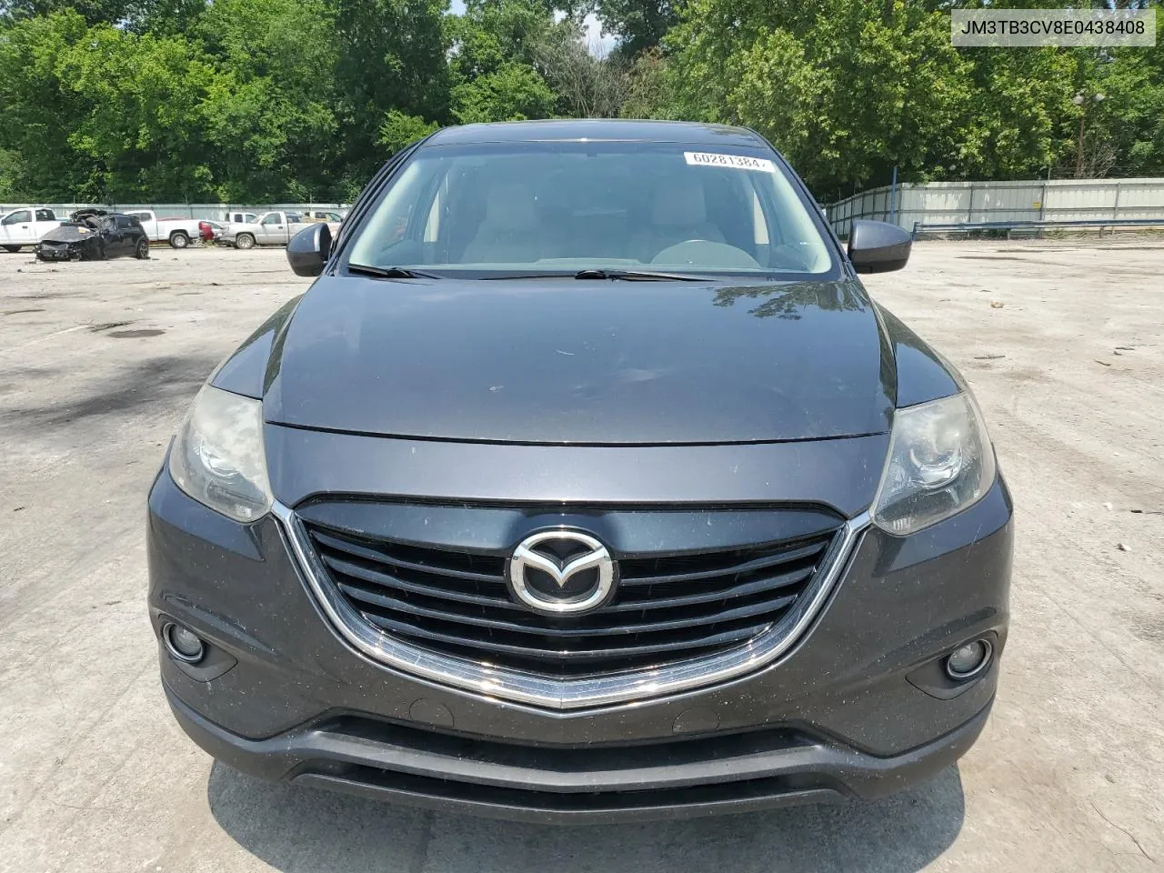 2014 Mazda Cx-9 Touring VIN: JM3TB3CV8E0438408 Lot: 60281384