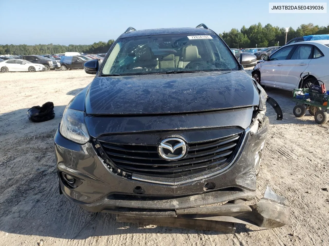 2014 Mazda Cx-9 Grand Touring VIN: JM3TB2DA5E0439036 Lot: 72834184