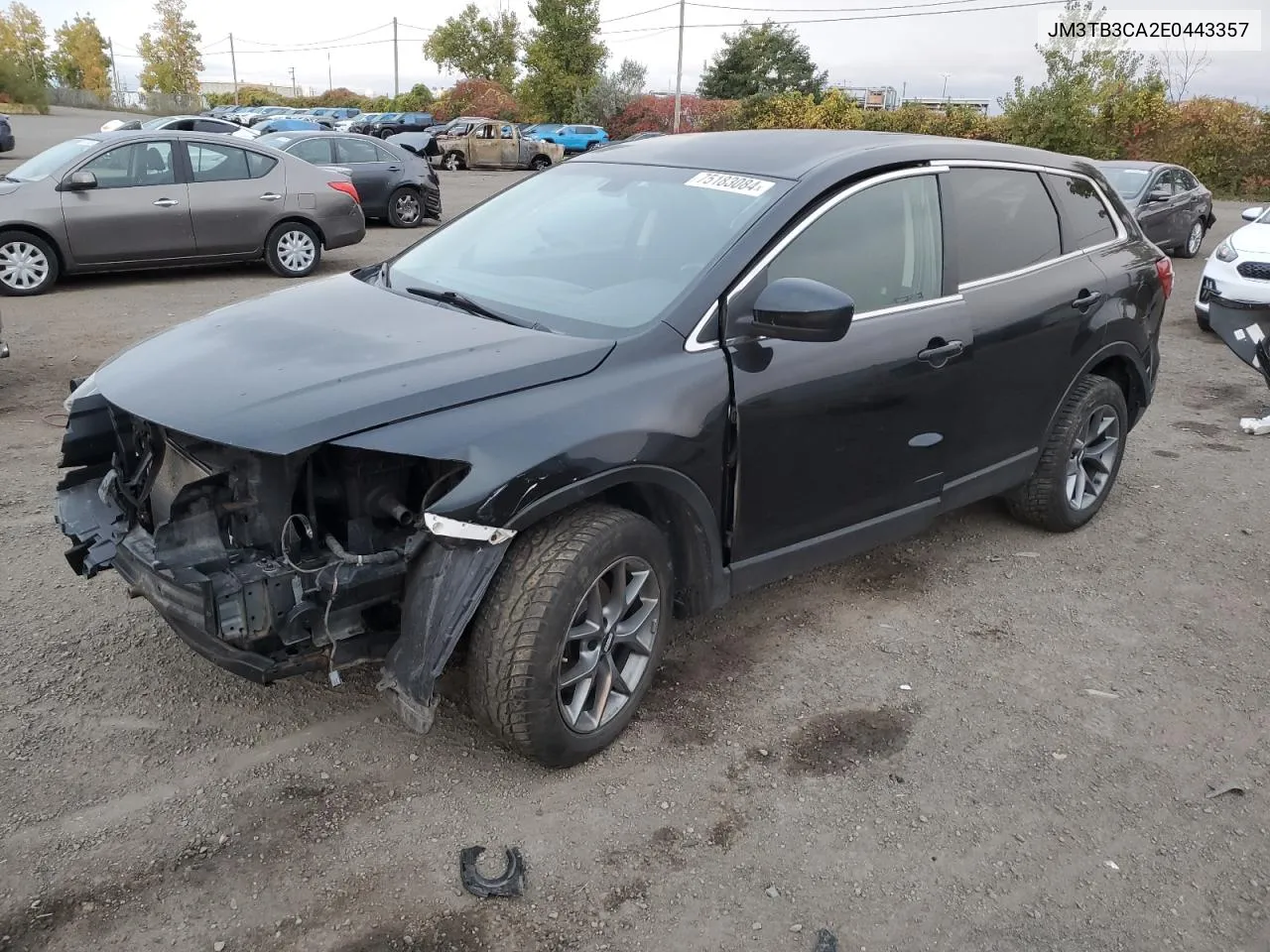 2014 Mazda Cx-9 Touring VIN: JM3TB3CA2E0443357 Lot: 75183084