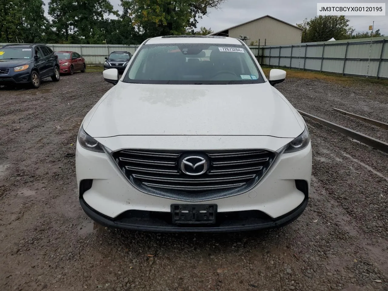 2016 Mazda Cx-9 Touring VIN: JM3TCBCYXG0120195 Lot: 72673284