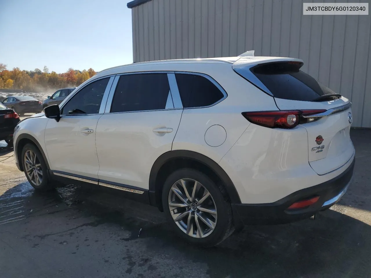 2016 Mazda Cx-9 Grand Touring VIN: JM3TCBDY6G0120340 Lot: 77119554