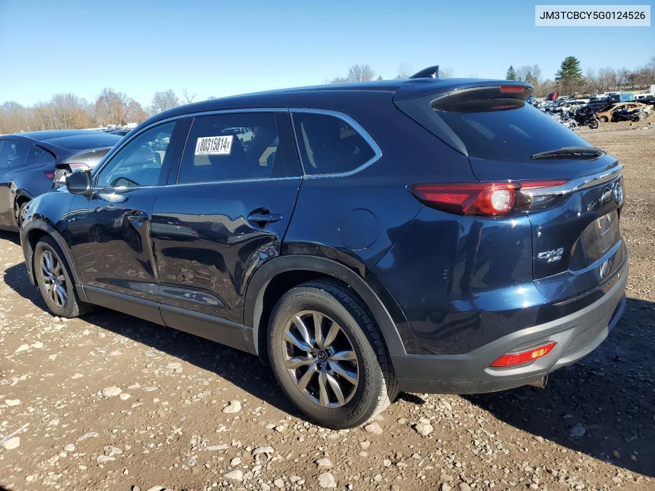 2016 Mazda Cx-9 Touring VIN: JM3TCBCY5G0124526 Lot: 80315814