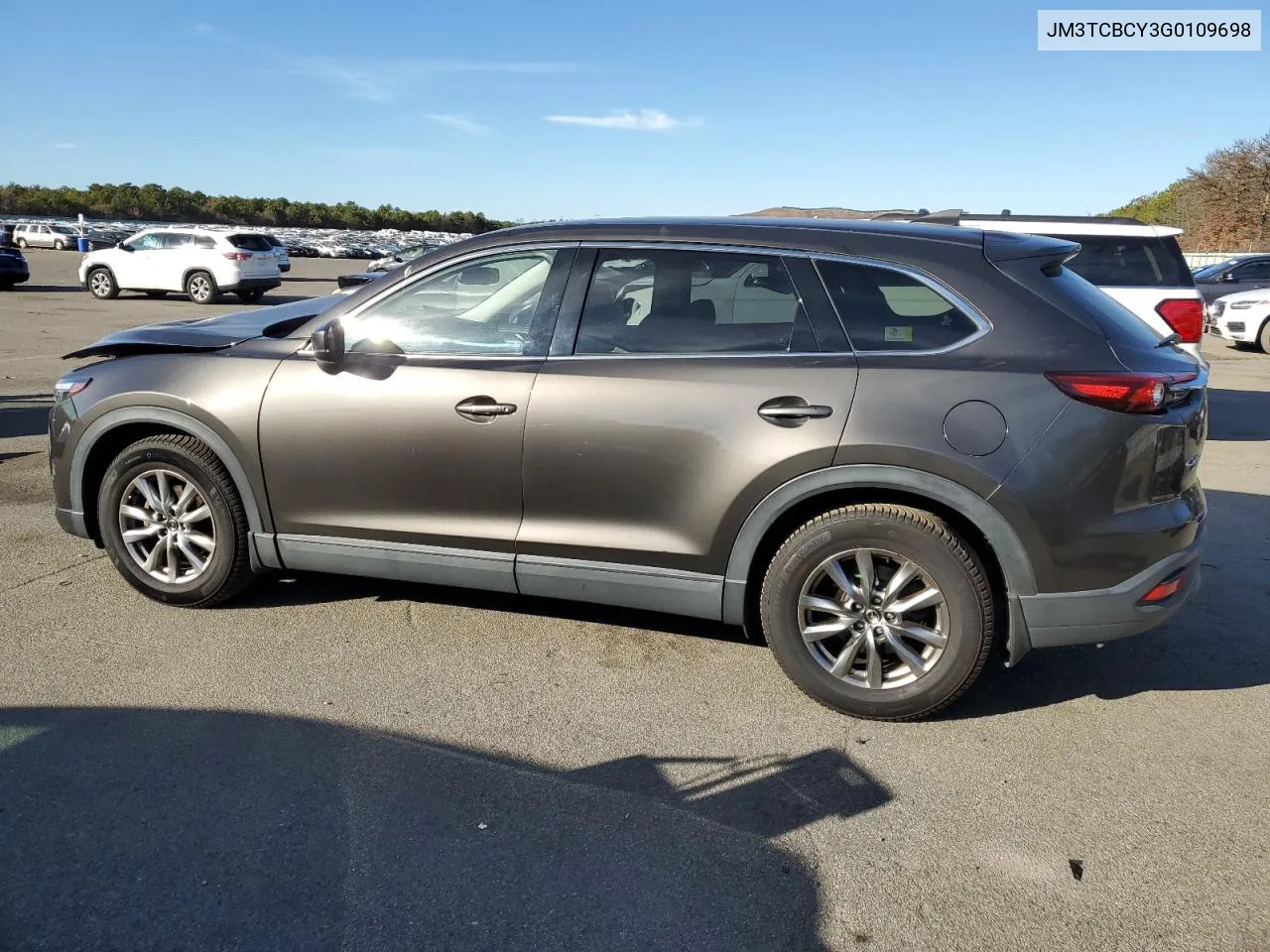 2016 Mazda Cx-9 Touring VIN: JM3TCBCY3G0109698 Lot: 80851104