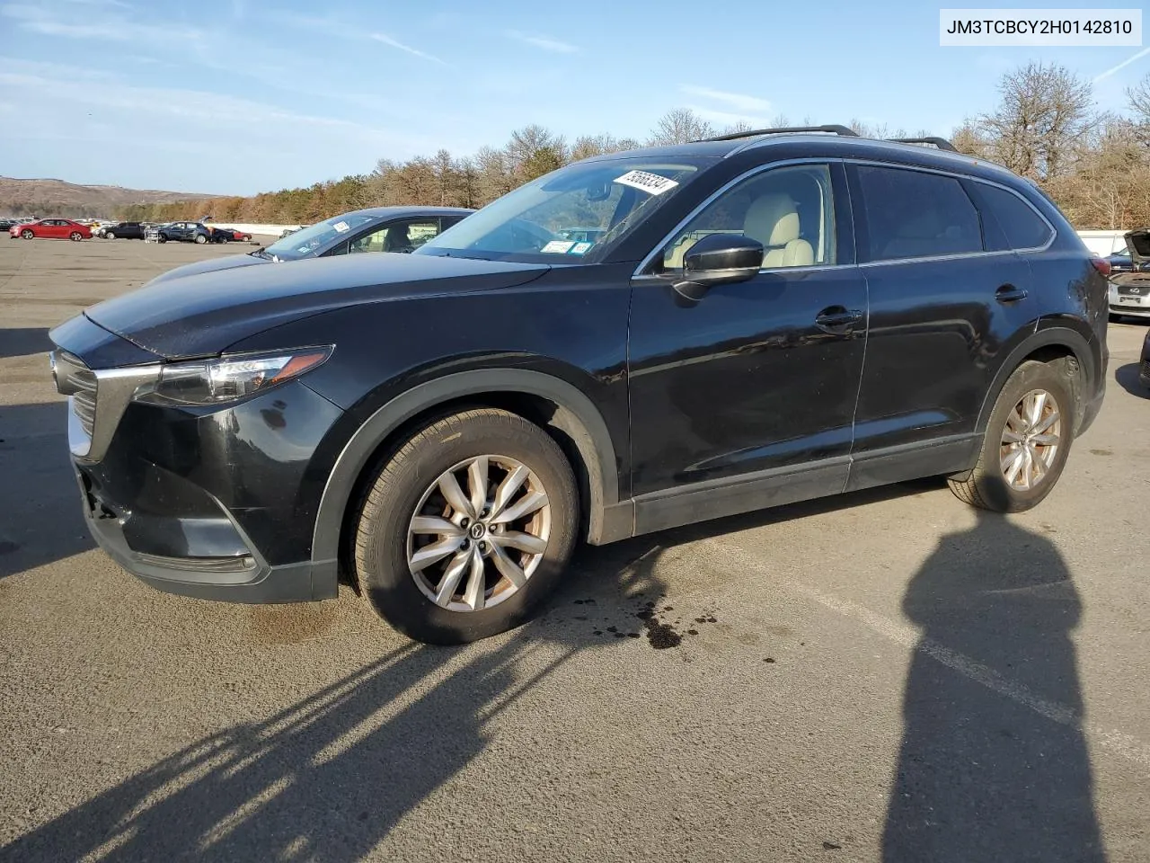 2017 Mazda Cx-9 Touring VIN: JM3TCBCY2H0142810 Lot: 79566334