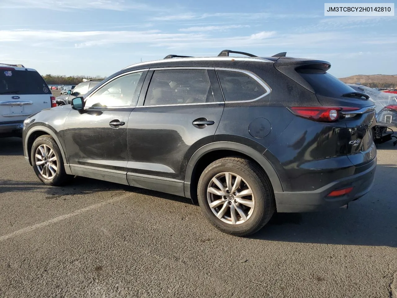 2017 Mazda Cx-9 Touring VIN: JM3TCBCY2H0142810 Lot: 79566334