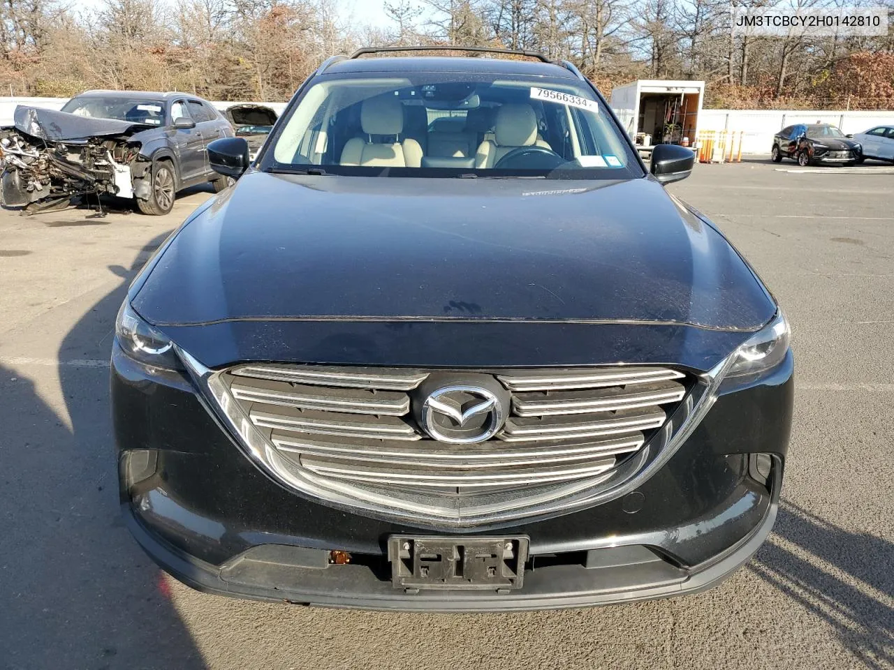 2017 Mazda Cx-9 Touring VIN: JM3TCBCY2H0142810 Lot: 79566334